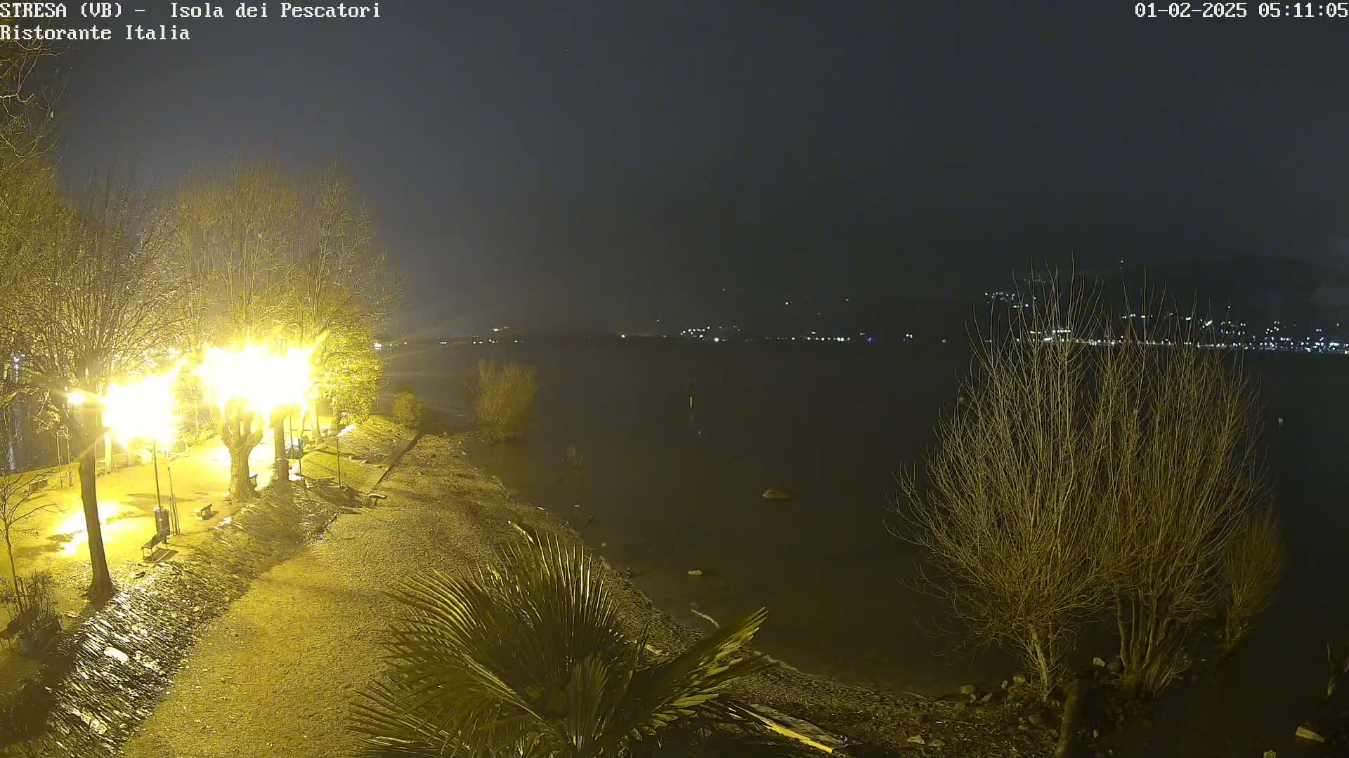 A nighttime view of a lakeshore with bare trees illuminated by streetlights, under a dark, possibly slightly misty sky.