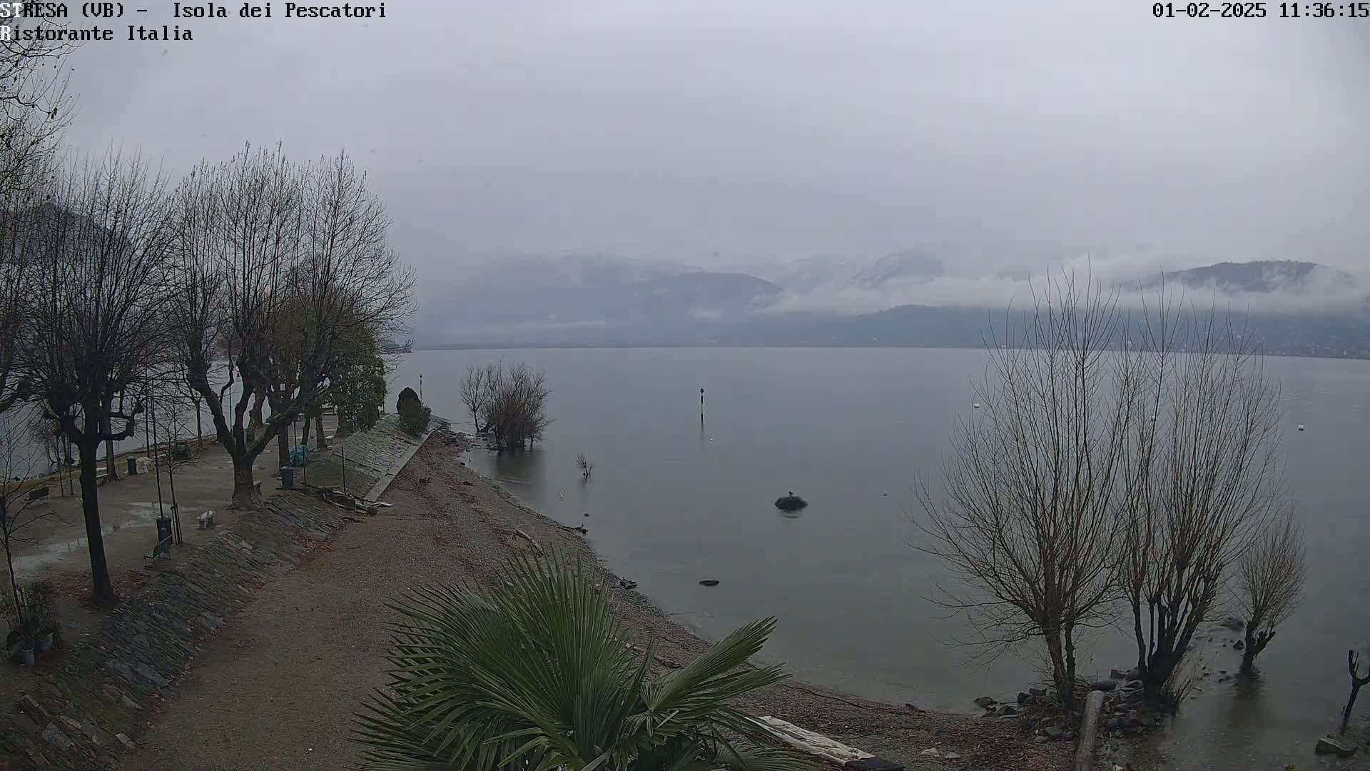 A shoreline with leafless trees and a calm, grey lake under an overcast sky, mountains faintly visible in the distance.