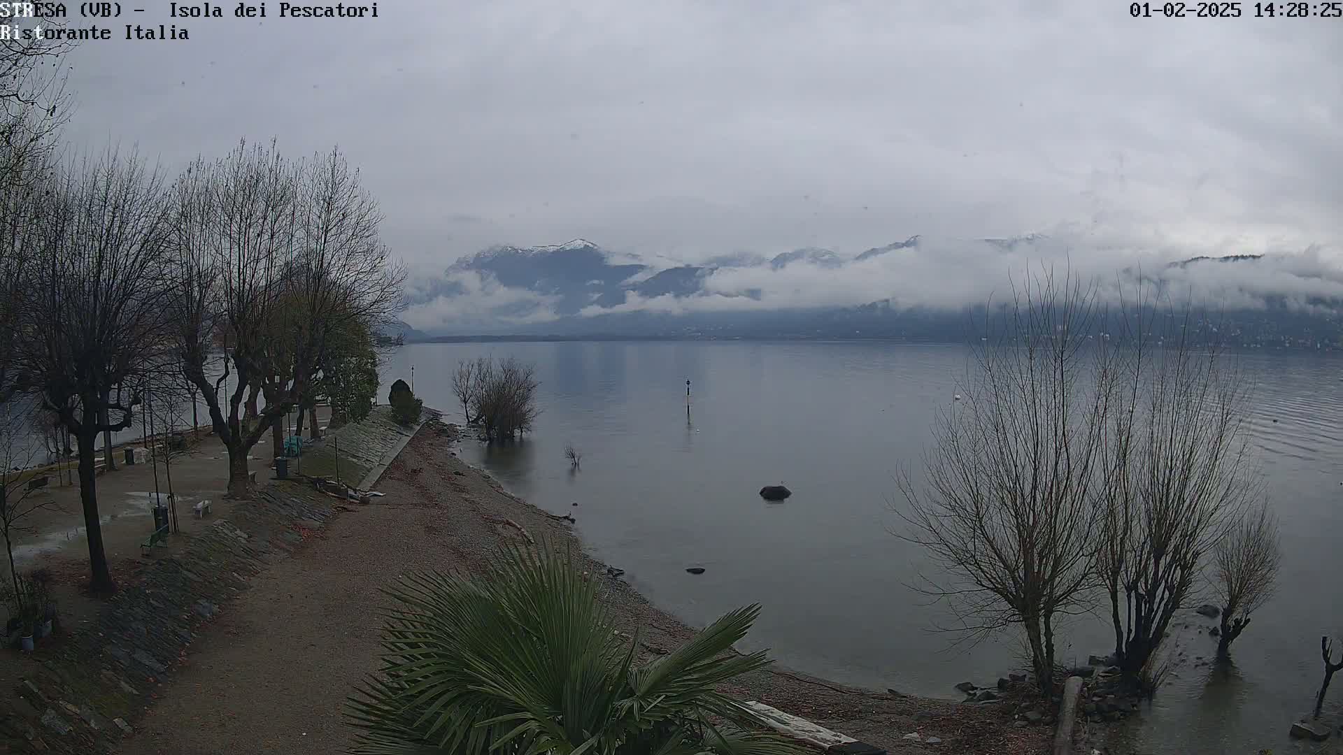 A calm lake with bare trees along the shore, cloudy skies, and distant mountains partially obscured by fog.