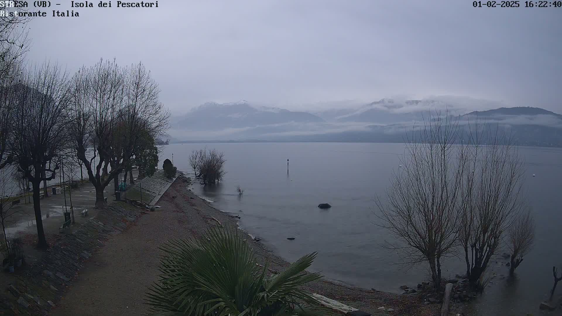 A calm lake is seen from a shoreline with leafless trees and a few palm trees, under an overcast sky and hazy mountains in the distance.