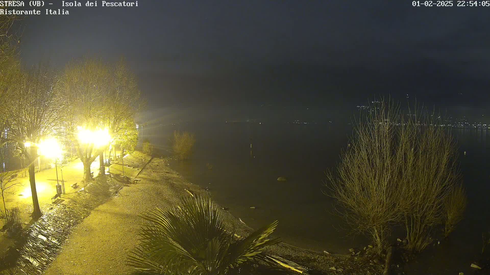 A nighttime view of a dimly lit lakeshore with bare trees and a few palm trees, under a foggy sky.