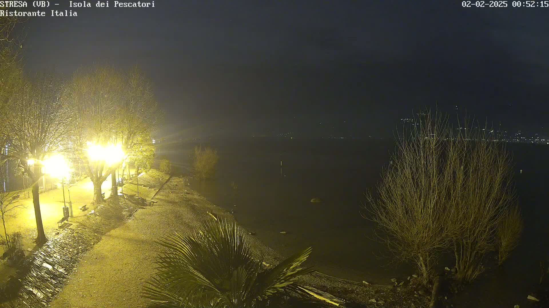 A nighttime view of a dimly lit lakeshore, with bare trees and some palm-like plants, under a hazy, dark sky.