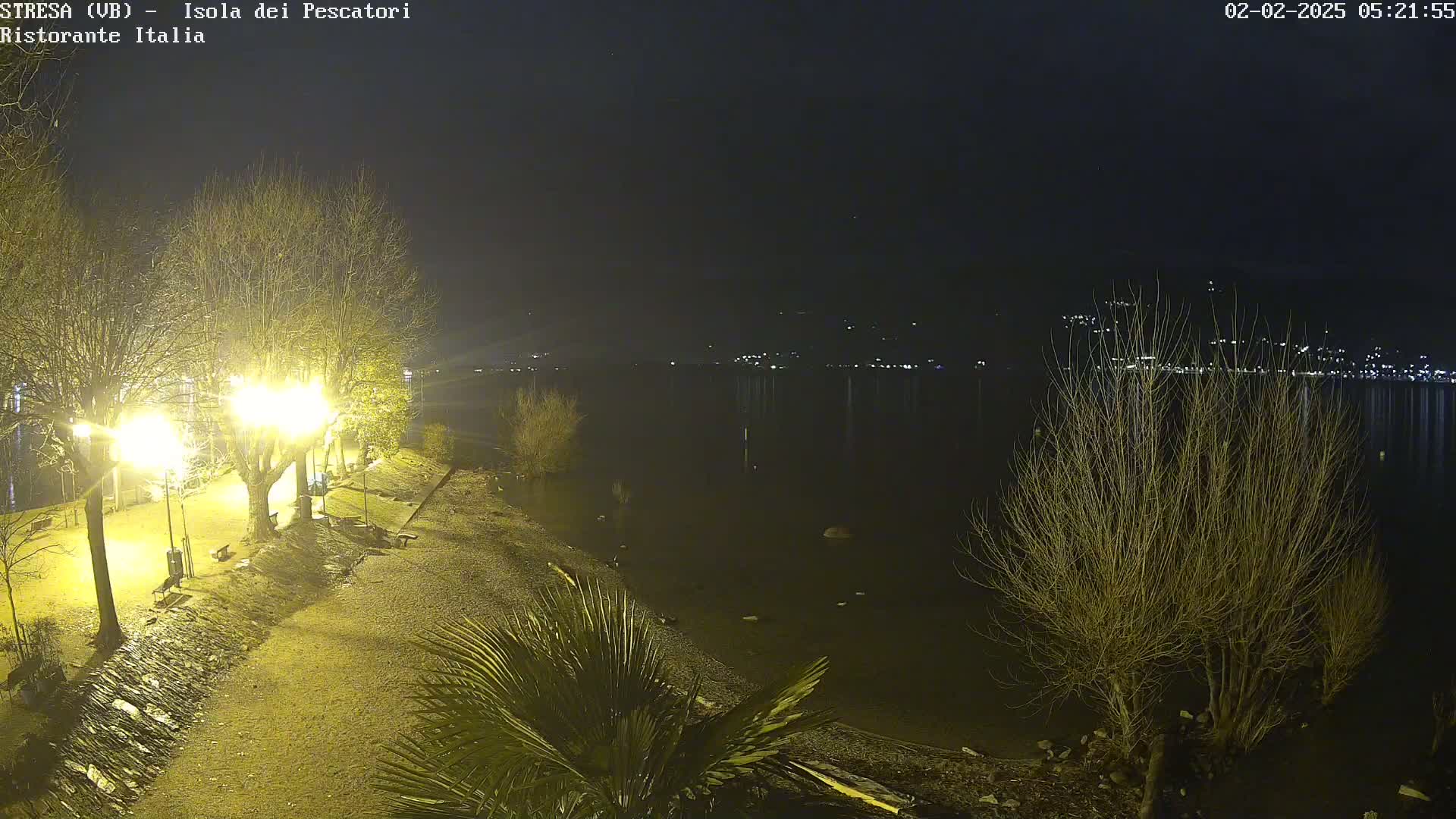 A nighttime view of a lakeshore with illuminated trees and a calm body of water reflecting distant lights.