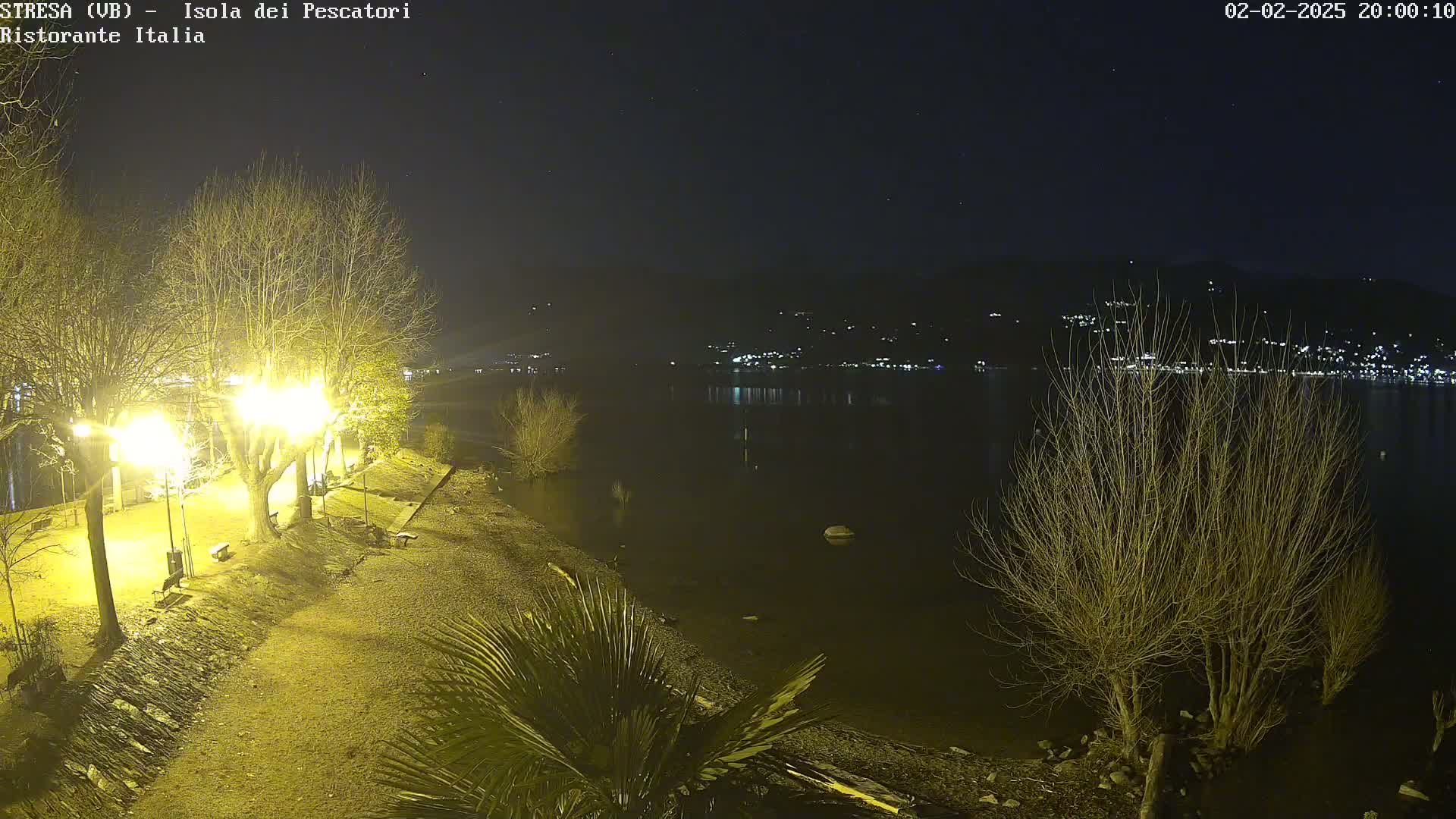 A nighttime view of a lakeshore illuminated by streetlights, with bare trees and a calm body of water reflecting distant lights across the water.