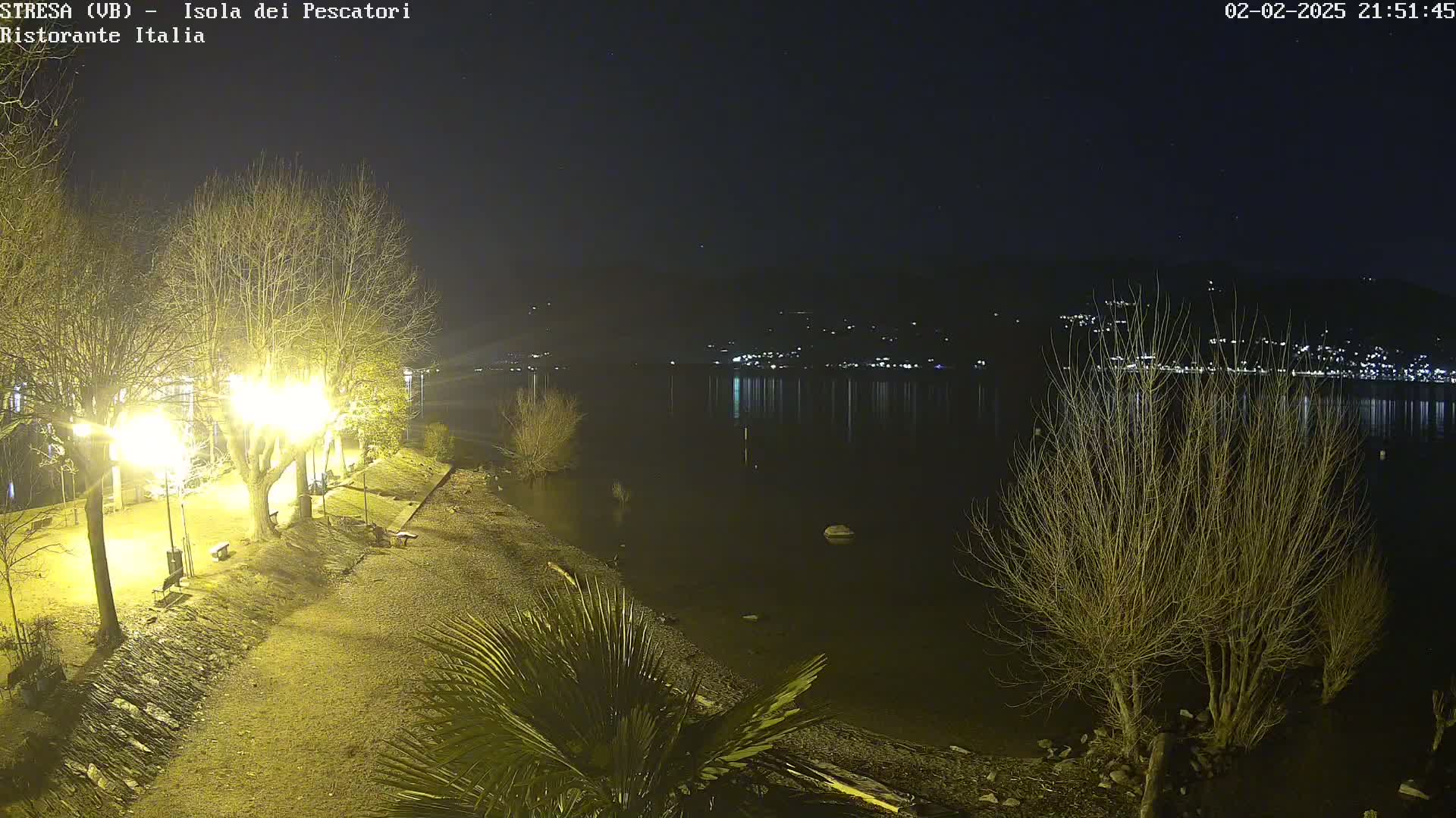 A nighttime lakeside scene shows bare trees illuminated by streetlights, a calm lake reflecting distant lights, and a palm tree near the shoreline.