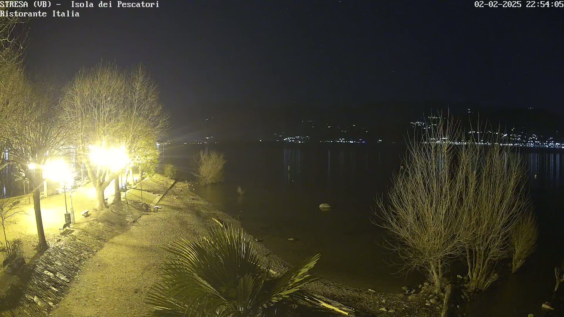 A nighttime view of a lakeshore, showing bare trees illuminated by artificial lights, a calm body of water reflecting distant lights, and a palm tree near the foreground.