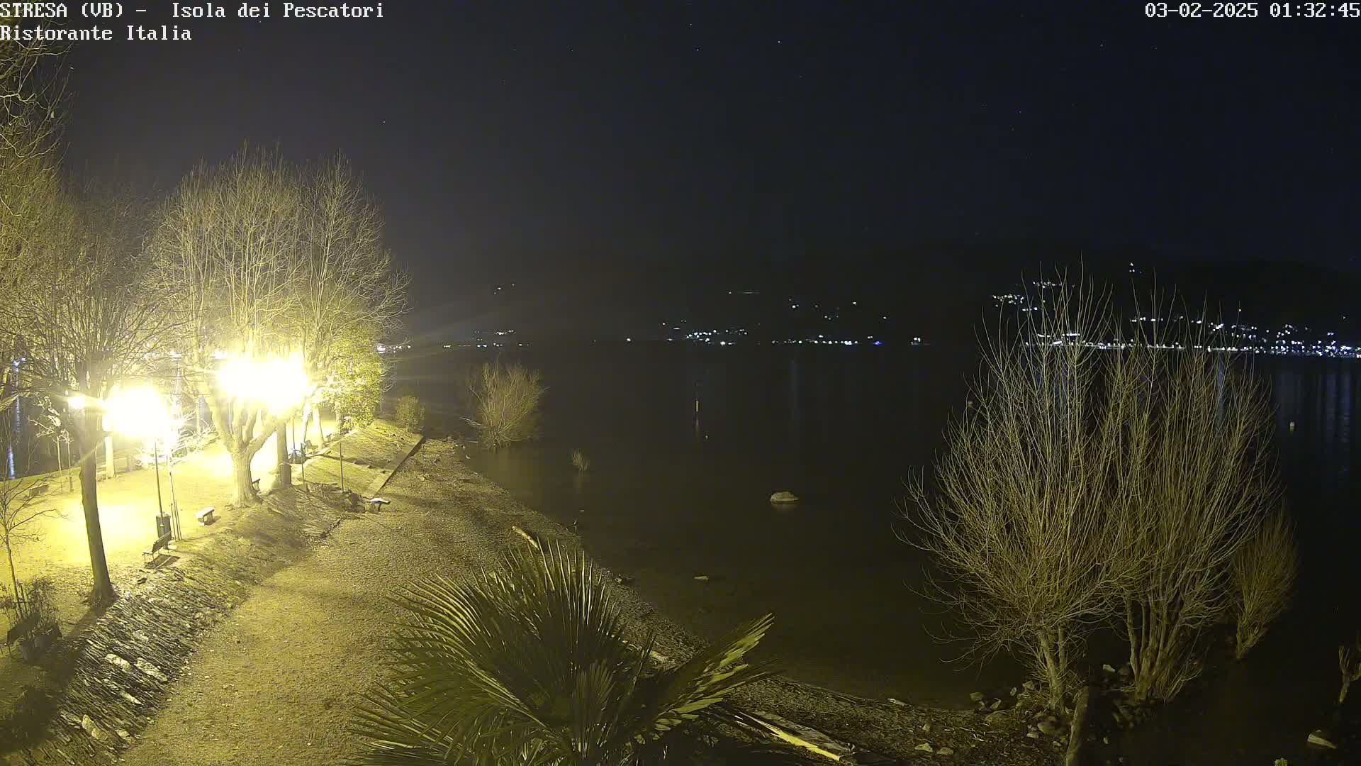 A nighttime view of a lakeshore, illuminated by several streetlights, showing bare trees and a calm body of water with distant lights across the water.