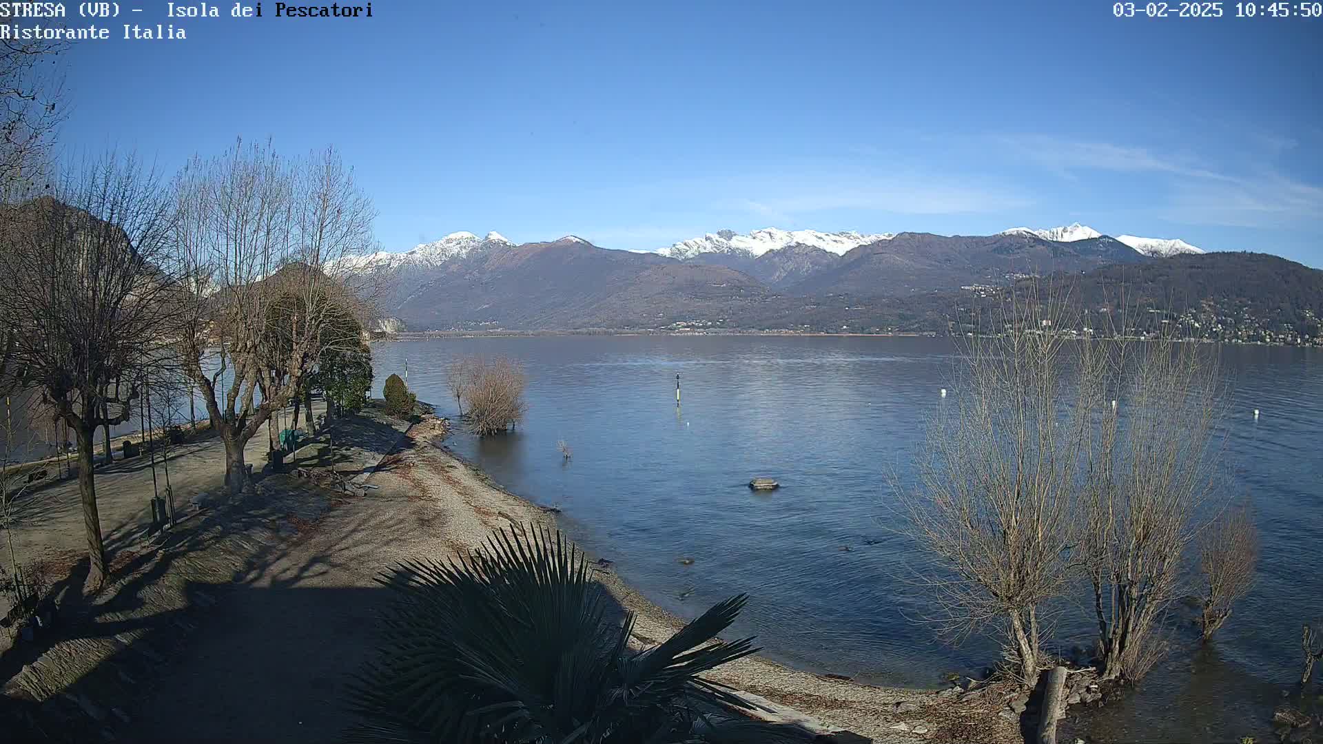 A sunny day shows a snow-capped mountain range across a calm lake, with a shoreline featuring bare trees, a pebble beach, and a palm tree in the foreground.