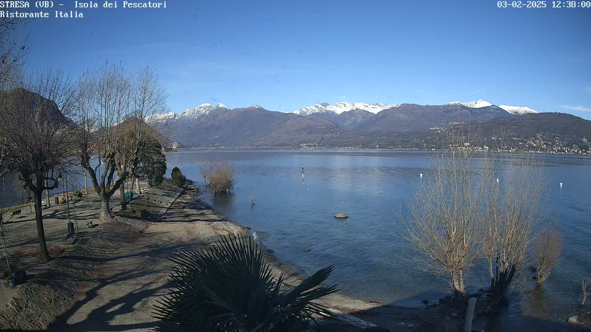 A calm lake stretches towards snow-capped mountains under a clear blue sky, with bare trees lining a shoreline.