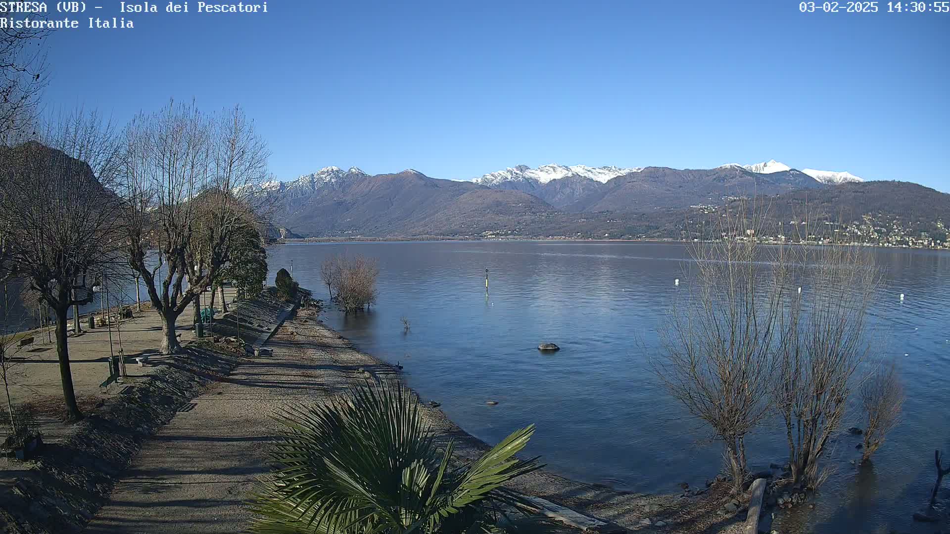 A clear, sunny day reveals a calm lake bordered by a sandy shore with leafless trees and a few palm trees, mountains capped with snow in the distance.