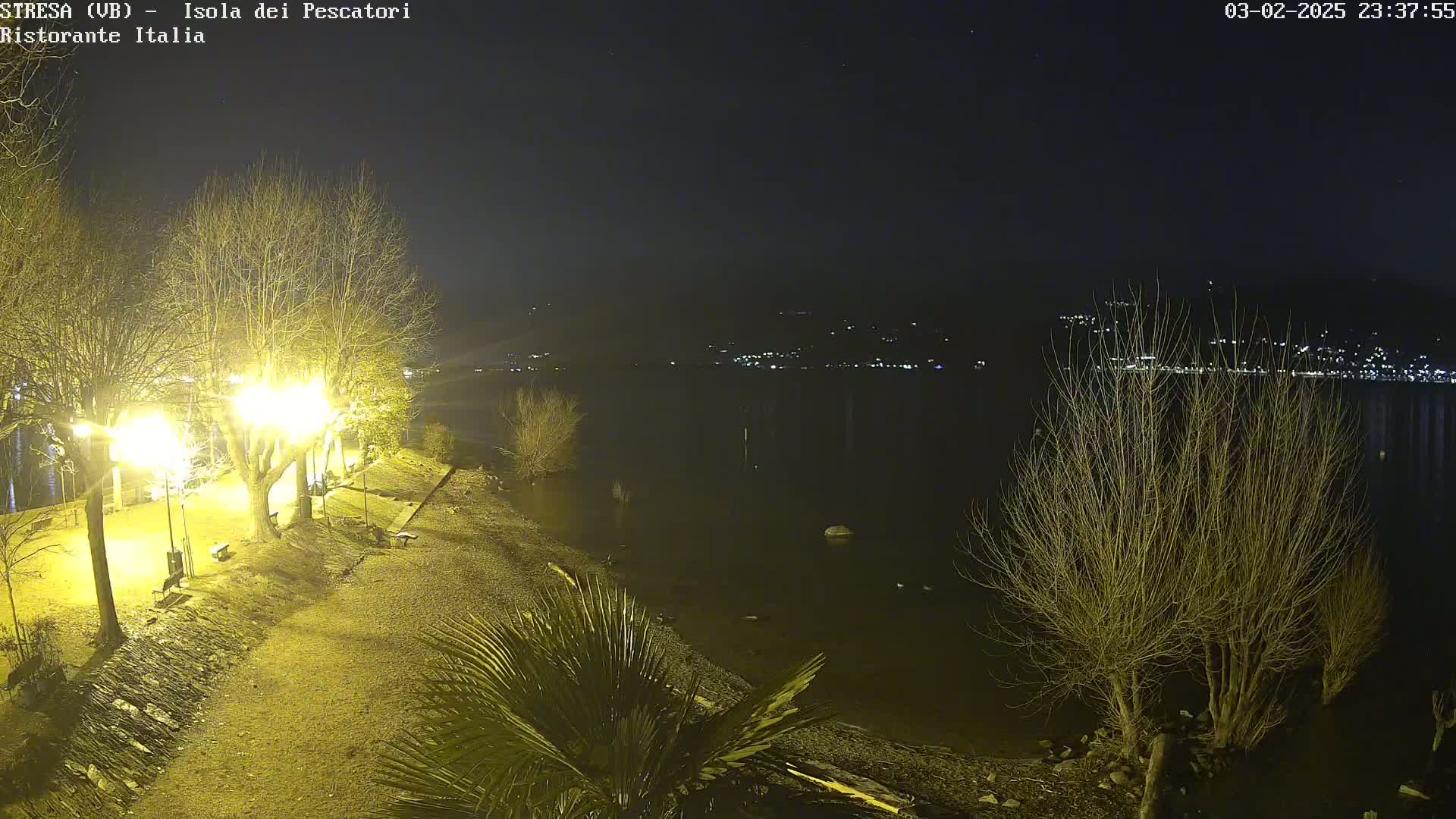 A nighttime view of a lakeshore, illuminated by streetlights, shows bare trees and a calm body of water with distant lights across the shore.