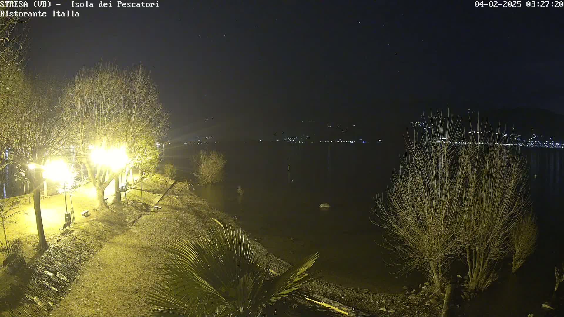 A nighttime view of a lakeshore with barren trees illuminated by lamplights, a calm body of water reflecting distant lights, and a starry sky.