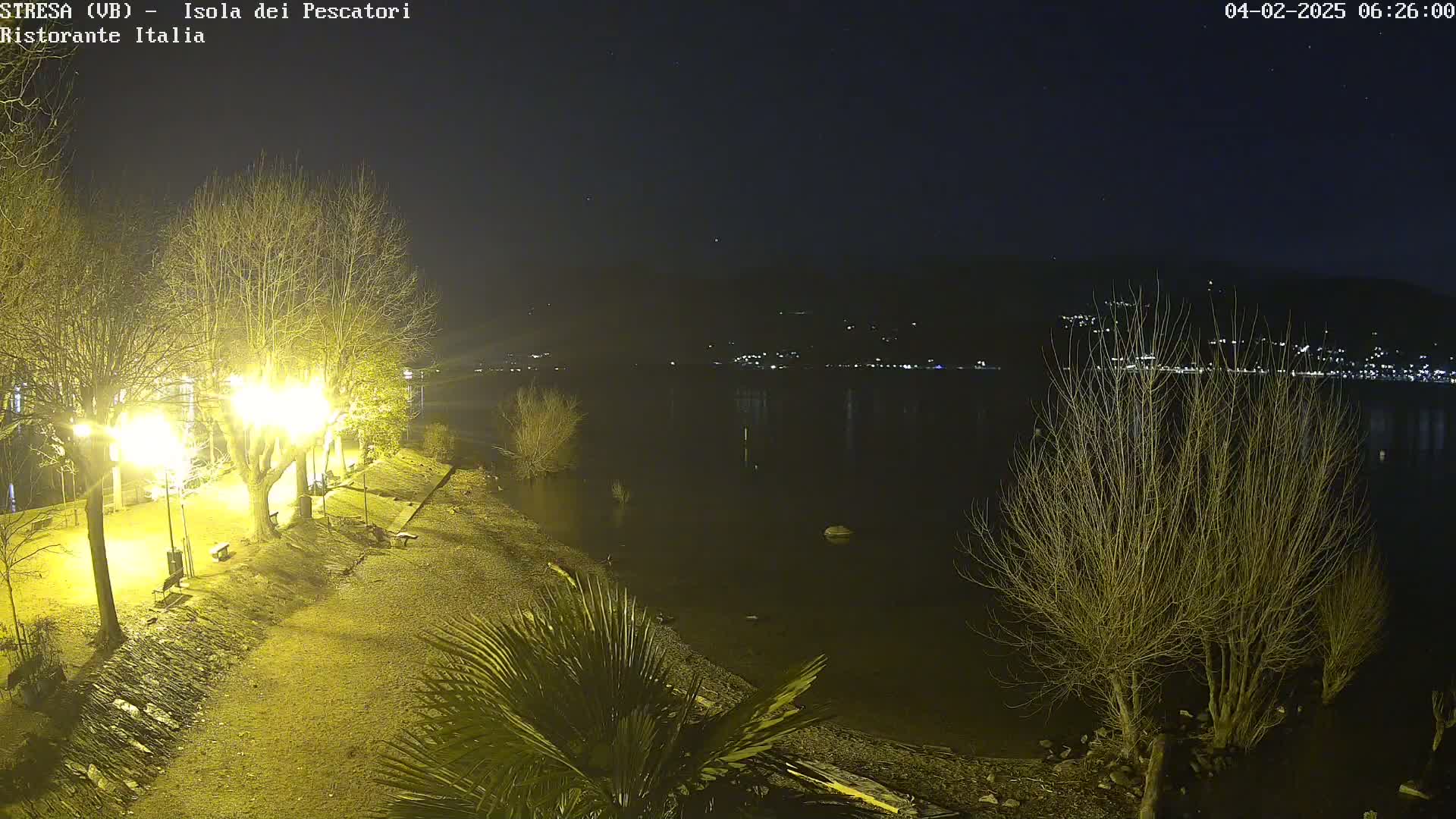 A nighttime view of a lakeshore with bare trees illuminated by lampposts, a calm body of water reflecting distant lights, and a small patch of palm trees in the foreground under a clear, starry sky.