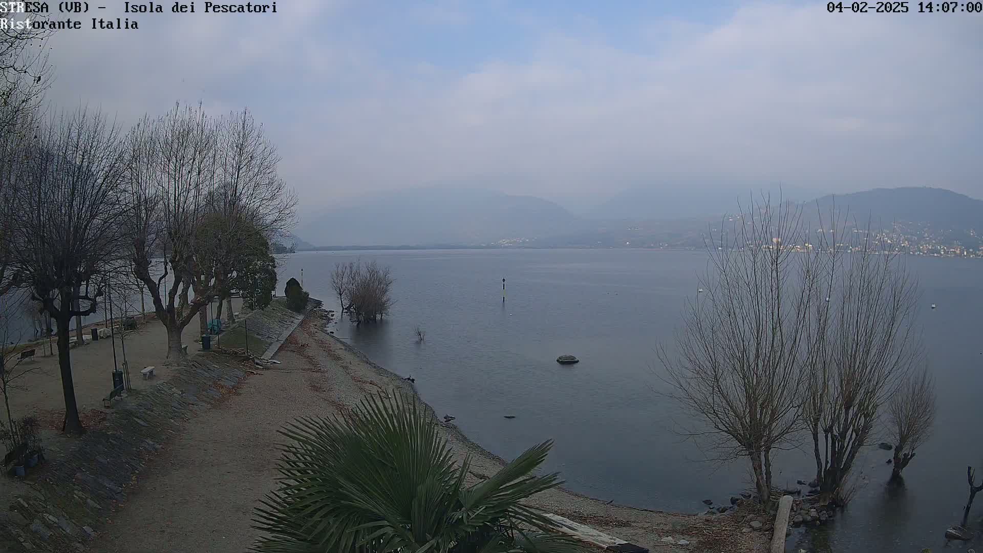 A calm lake with hazy mountains in the background is viewed from a shoreline with bare trees and a few benches.
