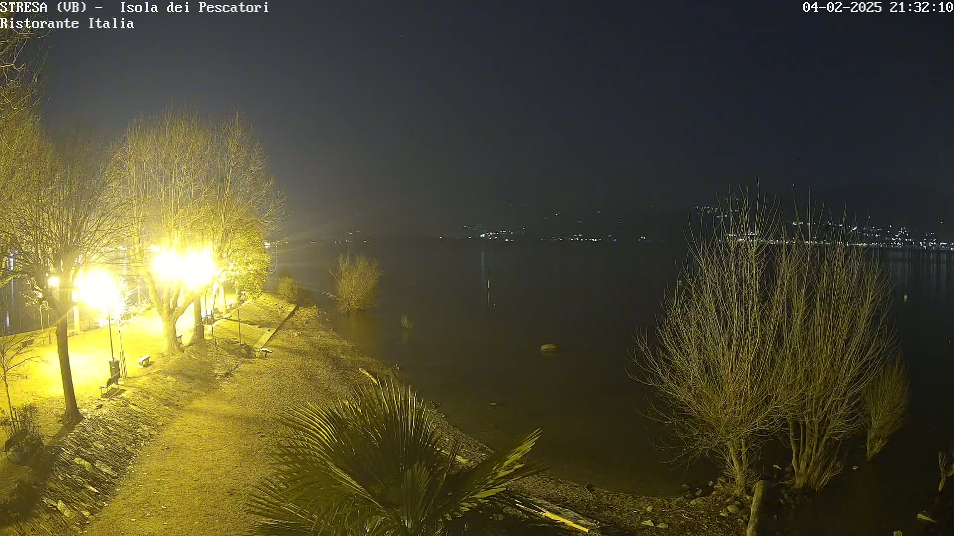 A nighttime view of a waterfront park with bare trees illuminated by streetlights, overlooking a dark body of water with distant city lights visible across the water.