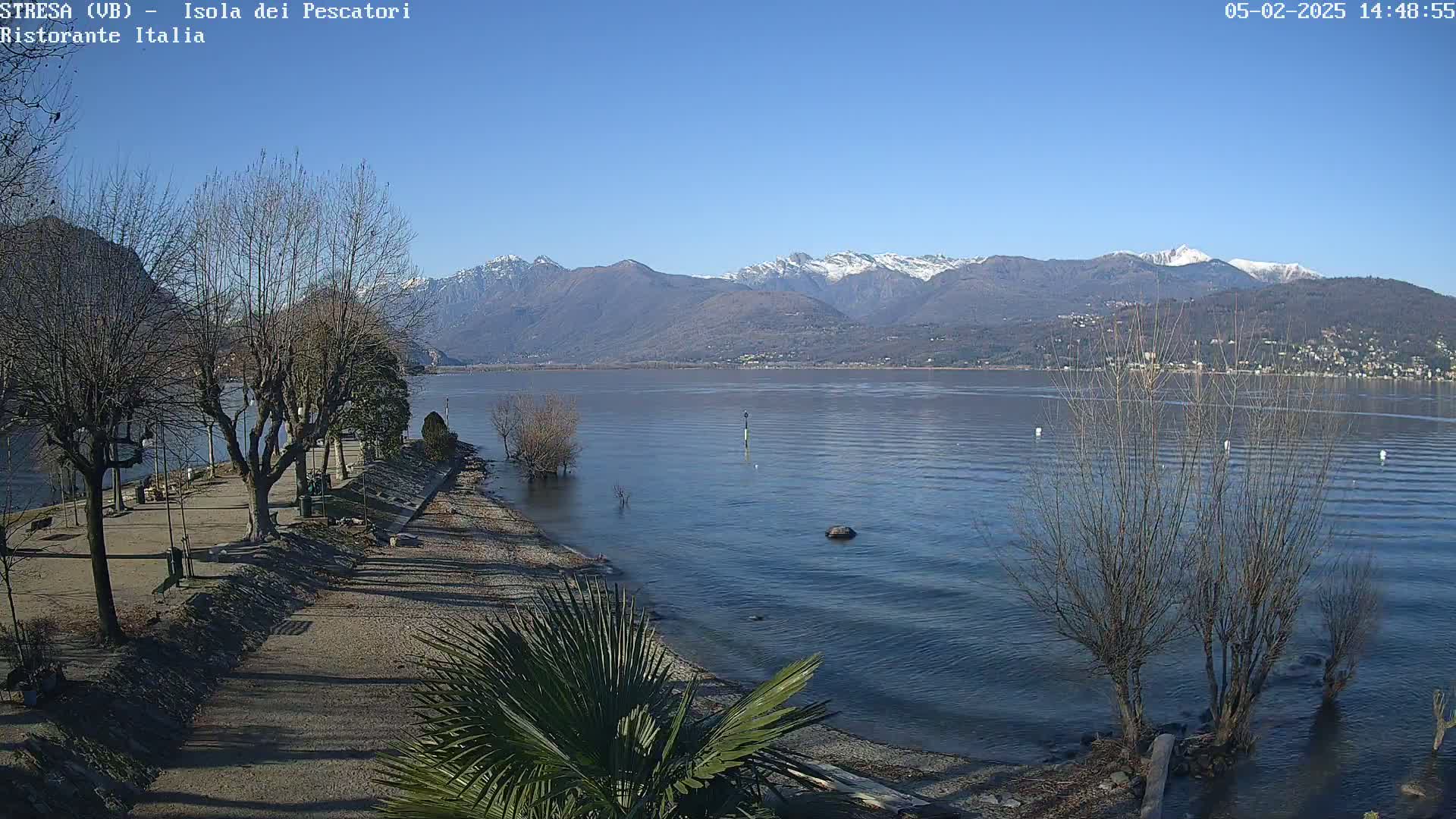 A calm lake with snow-capped mountains in the background is seen from a shoreline with bare trees and a sandy area.