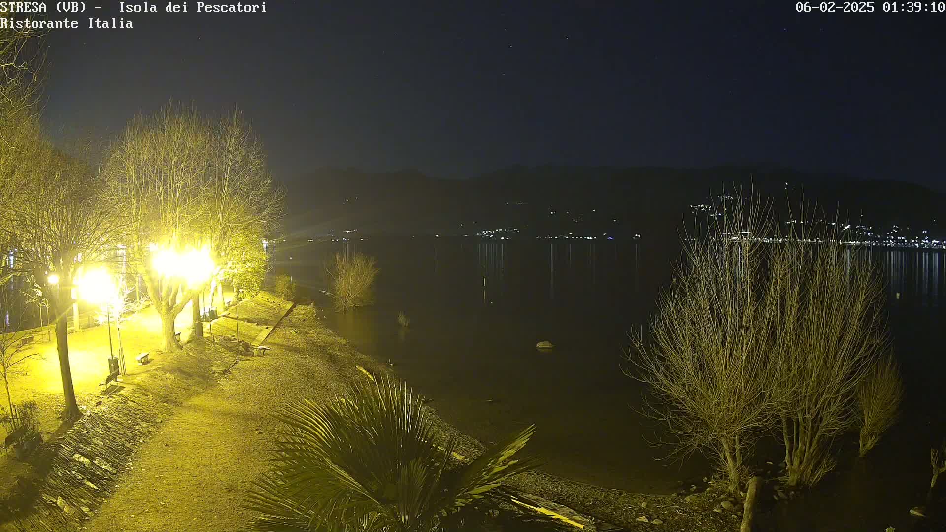 A nighttime view of a lakeshore with bare trees illuminated by lamplights, a calm lake reflecting distant lights, and a few palm trees in the foreground.