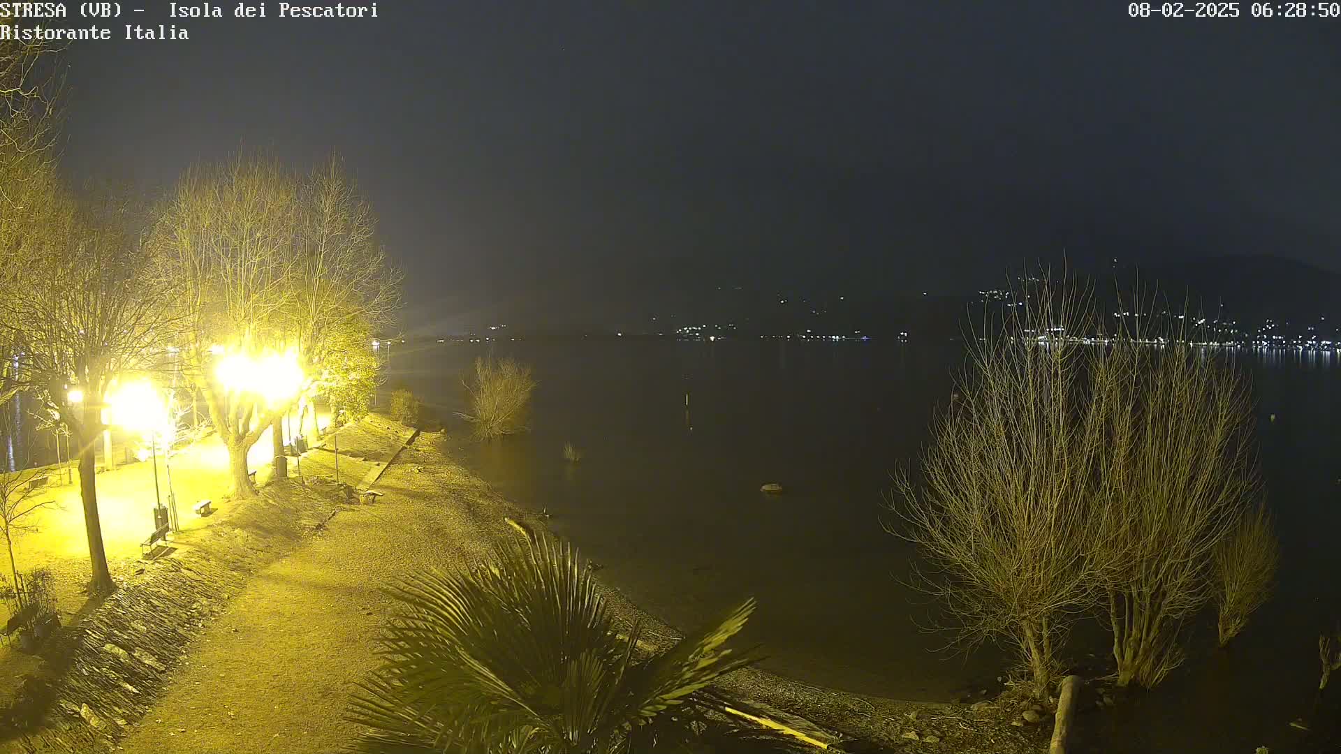A nighttime view of a shoreline with bare trees illuminated by lampposts, overlooking a dark body of water with distant lights across the far shore.