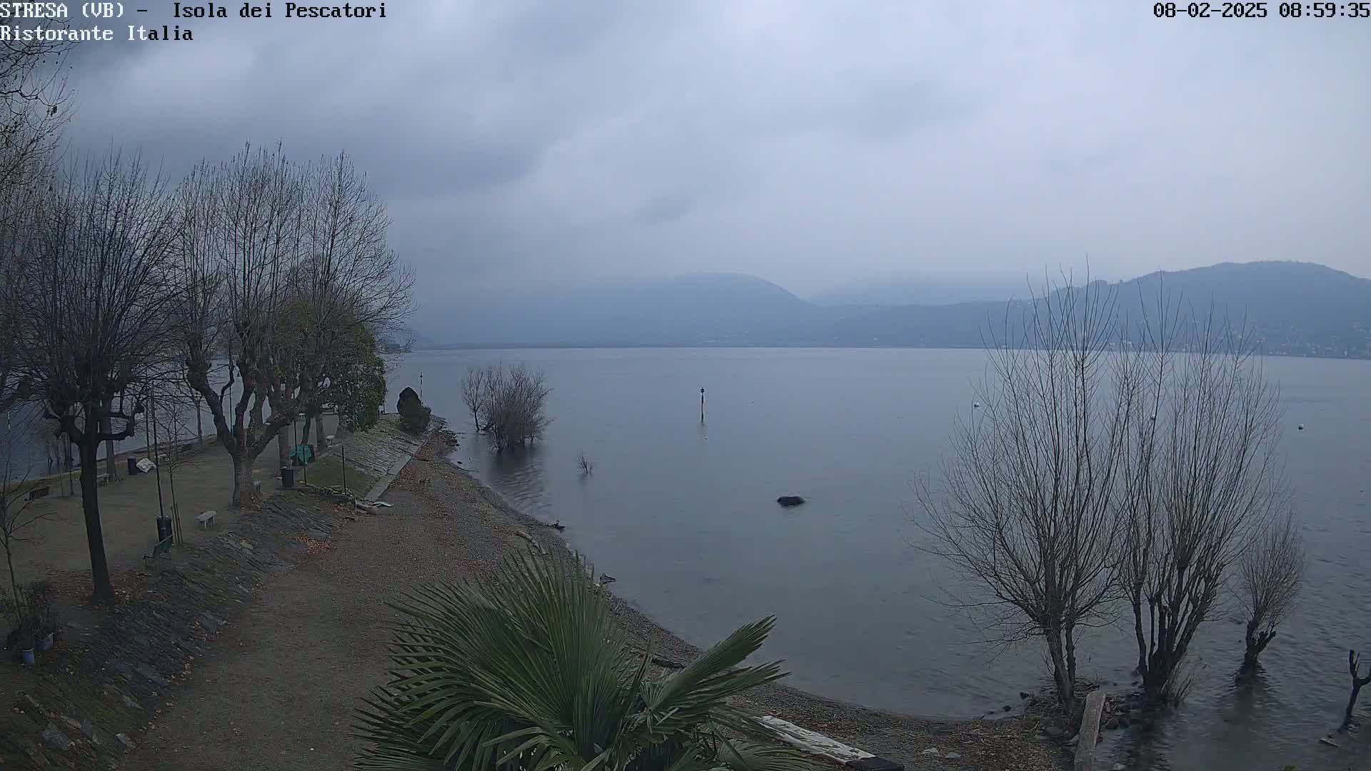 A calm lake under an overcast sky is viewed from a shoreline with bare trees and a few palm trees, with mountains faintly visible in the distance.