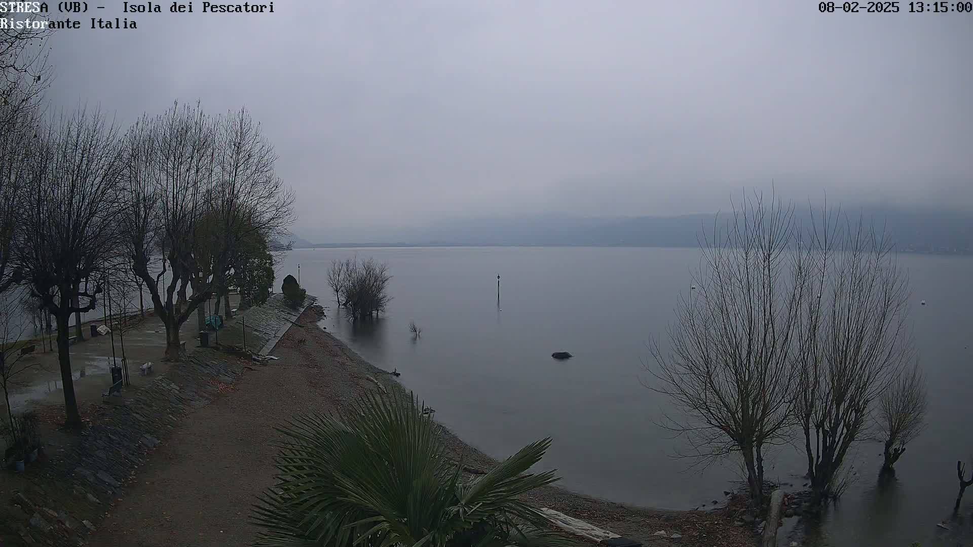 A calm lake under an overcast sky is viewed from a shoreline with bare trees and a few palm trees.