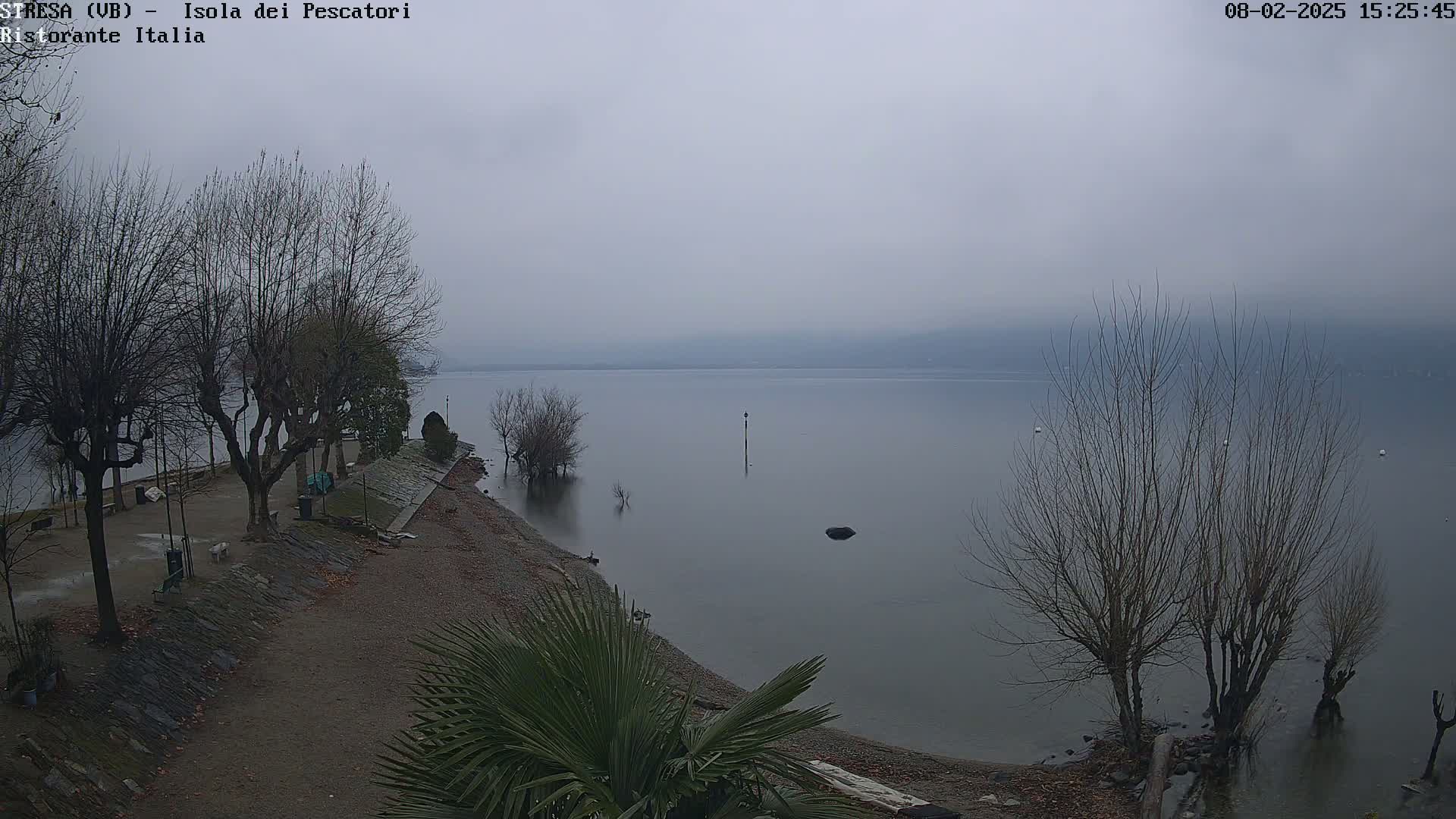 A hazy, overcast day reveals a calm lake shoreline with leafless trees and a small sandy beach.