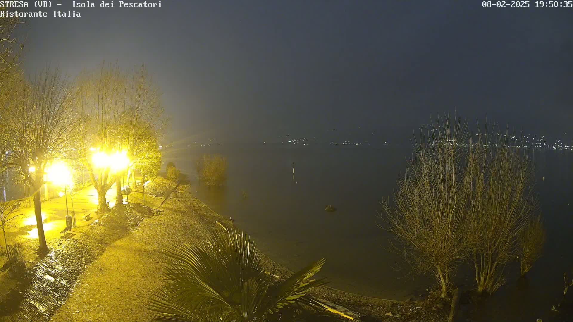 A nighttime view of a lakeshore, illuminated by streetlights, under a dark and foggy sky.