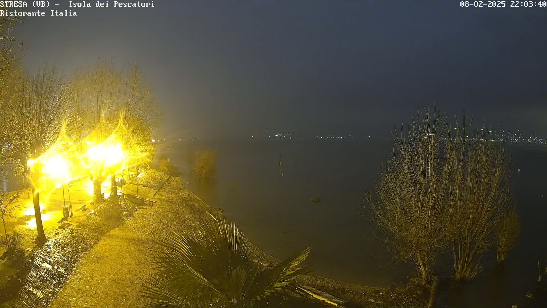 A nighttime view of a rain-soaked lakeshore path illuminated by bright streetlights, with bare trees and a calm lake extending to a dimly lit town in the distance under a dark, foggy sky.