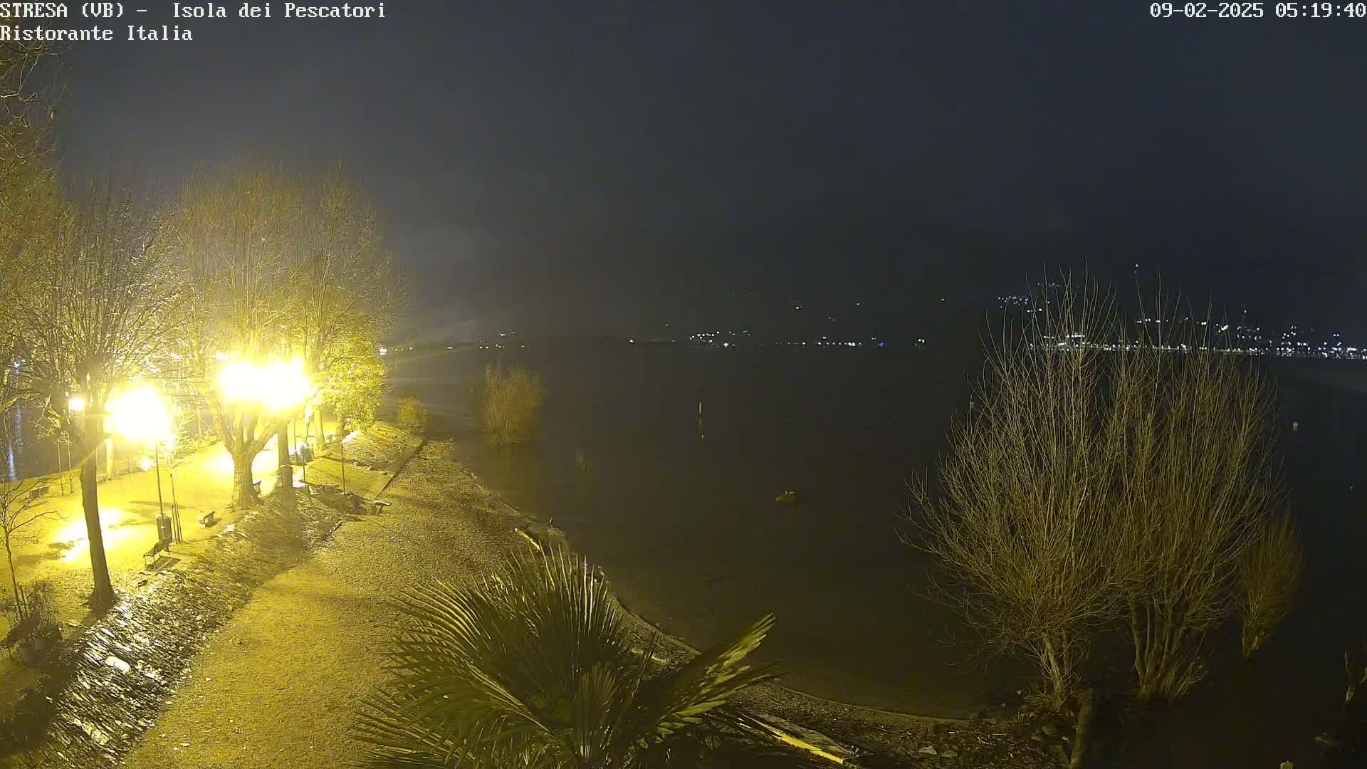 A nighttime view of a calm body of water with lights illuminating a shoreline path lined with bare trees and a palm tree, under a dark, possibly foggy sky.