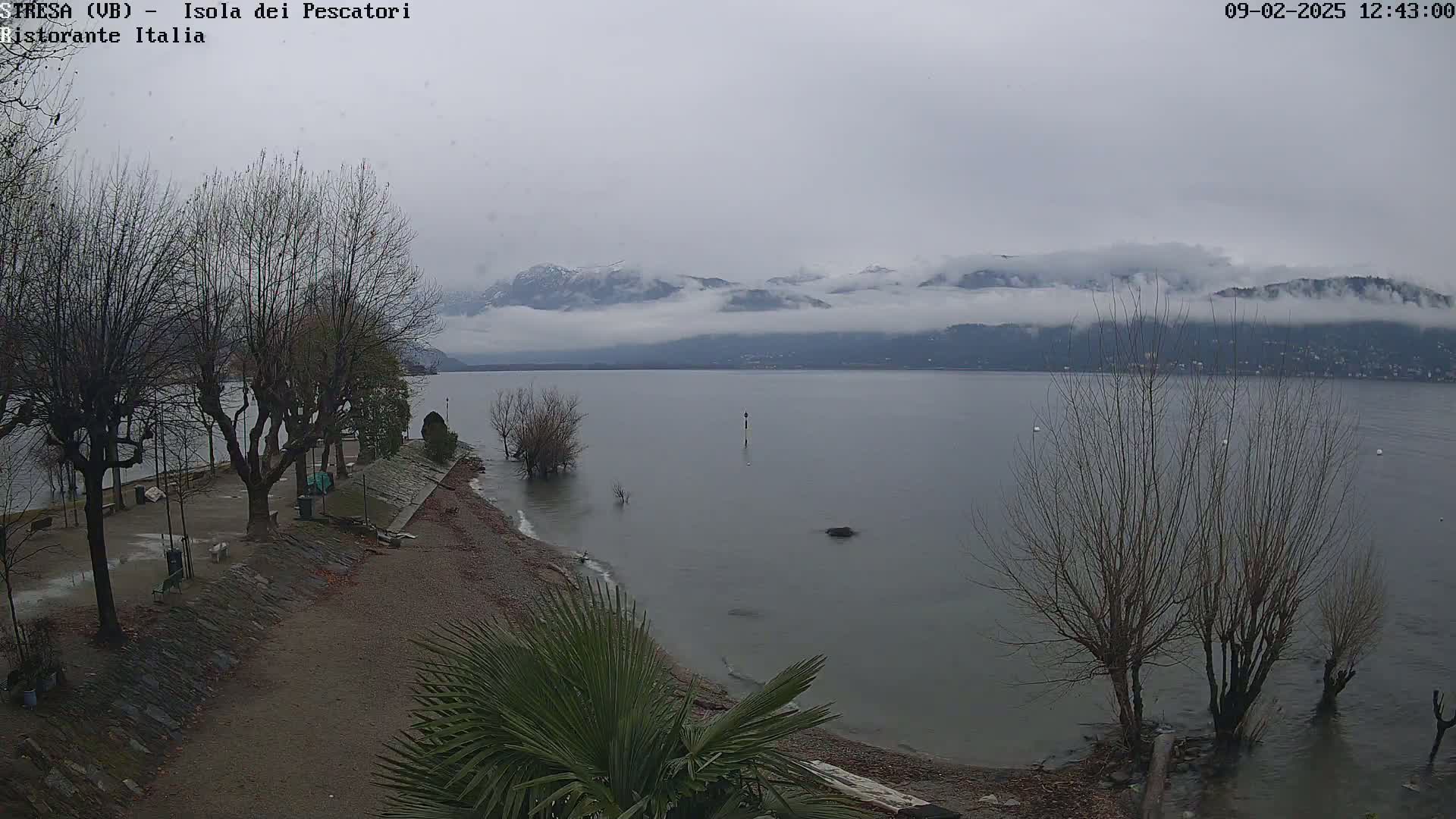 A calm lake shore, with bare trees and a partially visible mountain range shrouded in fog, under an overcast sky.