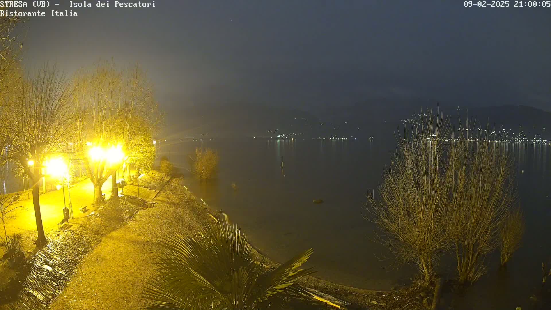 A nighttime view of a lakeshore with illuminated trees and a calm body of water reflecting distant lights under a hazy sky.