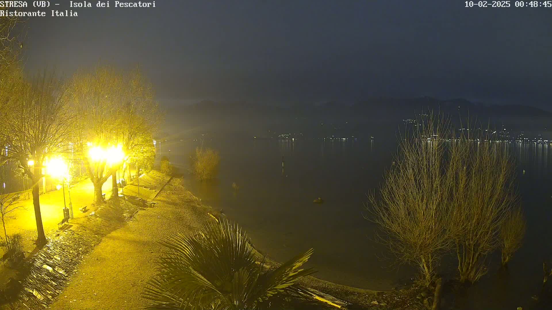 A nighttime view of a calm lake under a foggy sky, with a shoreline illuminated by streetlights, bare trees, and a few palm trees.