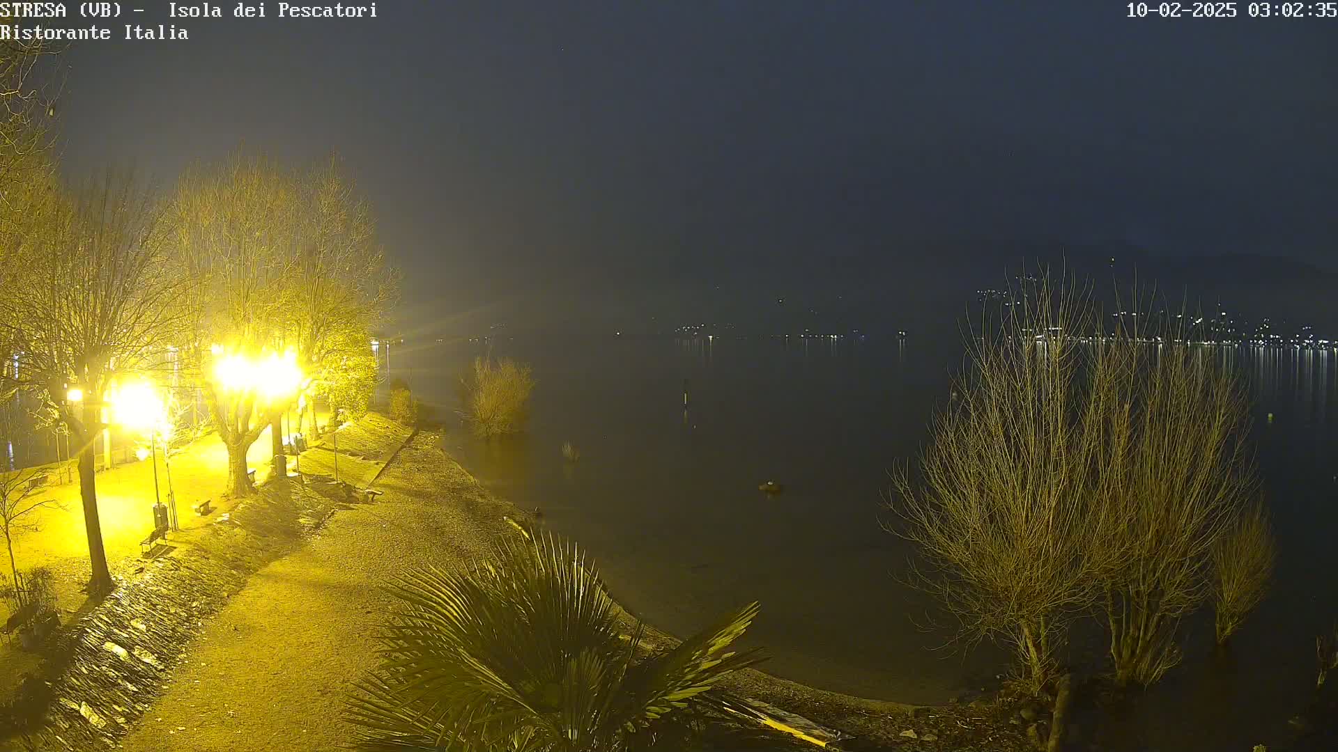 A nighttime view of a lakeshore with illuminated trees and a calm body of water reflecting distant lights under a hazy sky.