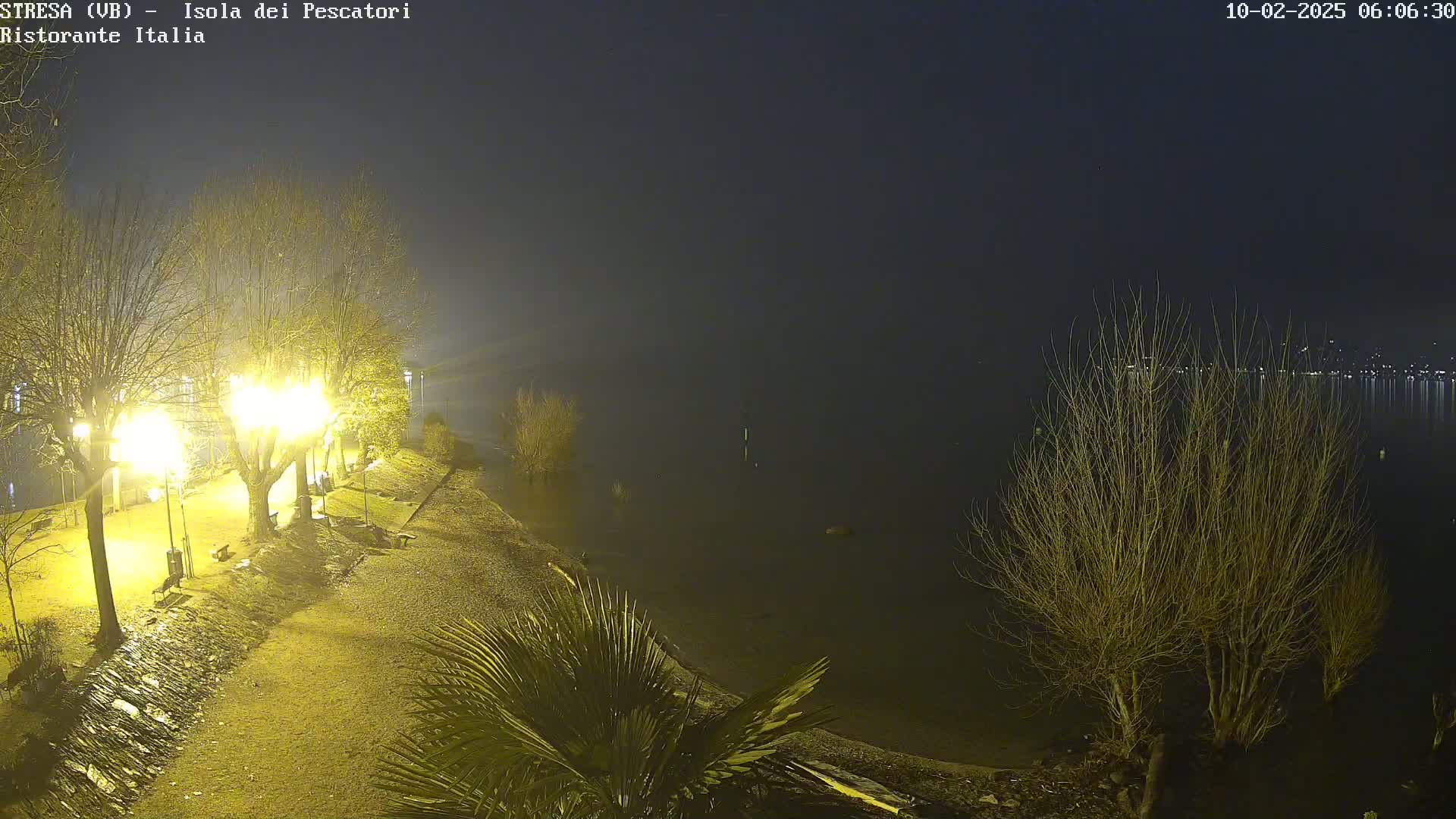 A nighttime view of a lakeshore with illuminated trees and benches, overlooking a calm body of water under a dark, possibly foggy sky.