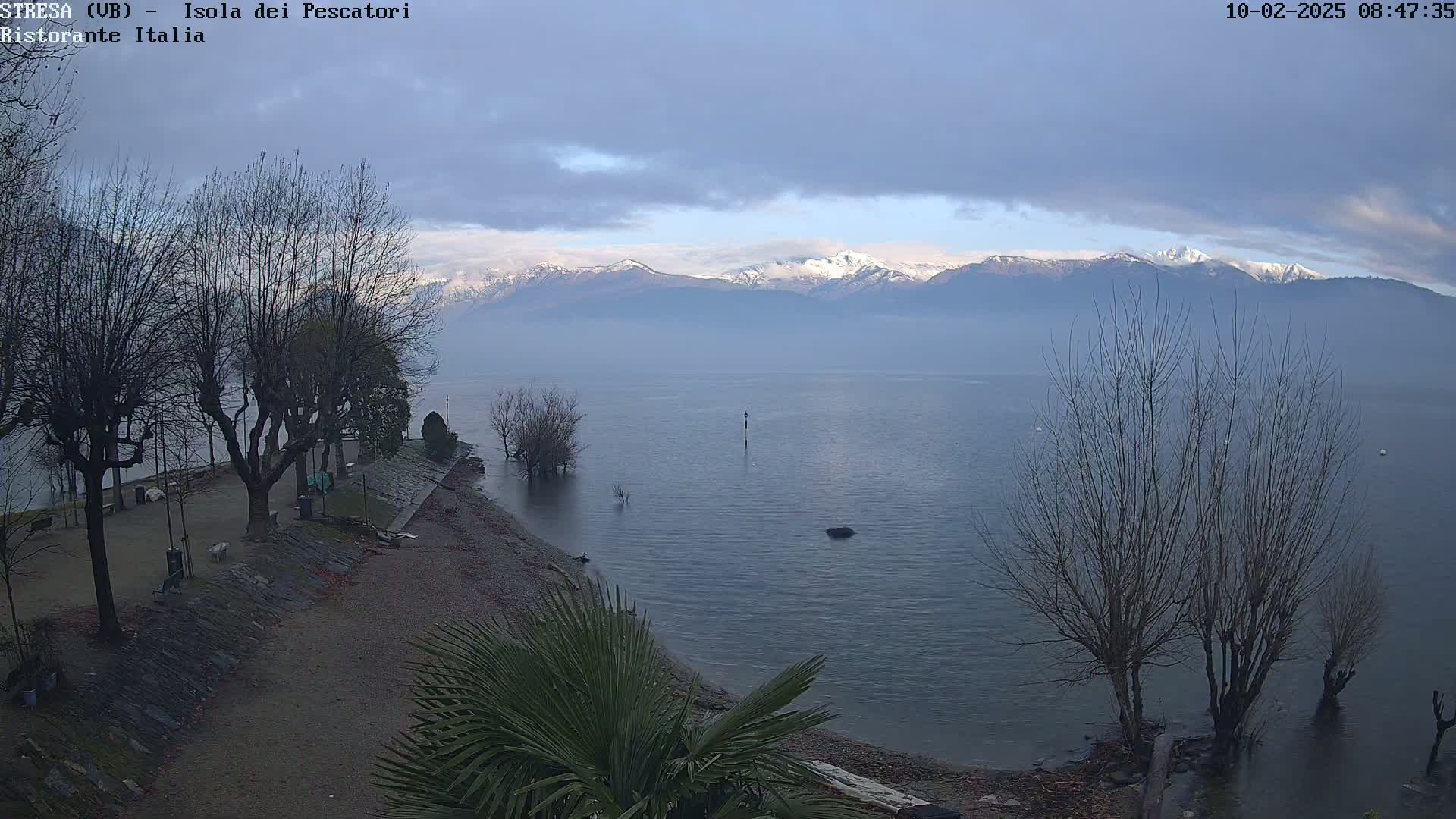 A shoreline with leafless trees and a palm tree overlooks a calm lake under a cloudy sky, with snow-capped mountains visible in the distance.
