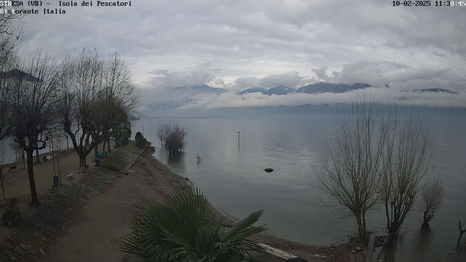 A calm lake under an overcast sky, with bare trees lining a shoreline, and snow-capped mountains partially obscured by fog in the distance.