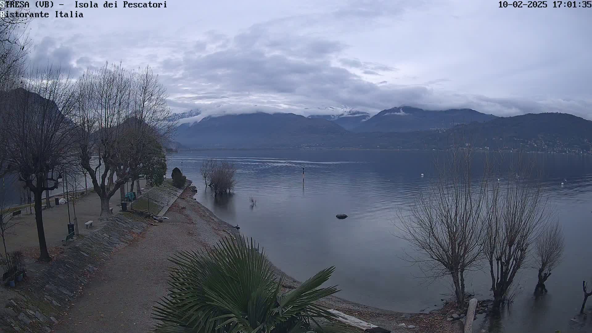 A partly cloudy, overcast day reveals a calm lake with snow-capped mountains in the distance, viewed from a lakeside park with bare trees and a small palm tree in the foreground.