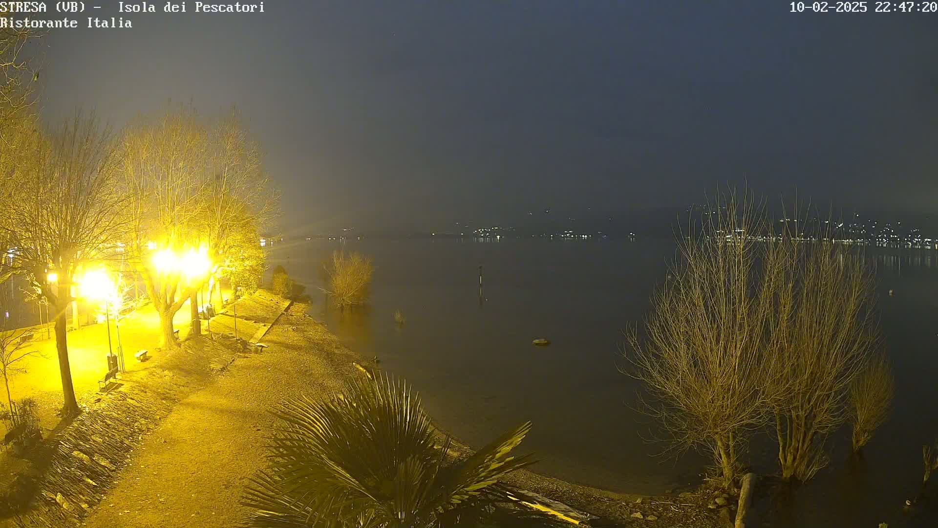 A nighttime view of a calm lake shore with bare trees illuminated by streetlights under a hazy sky.