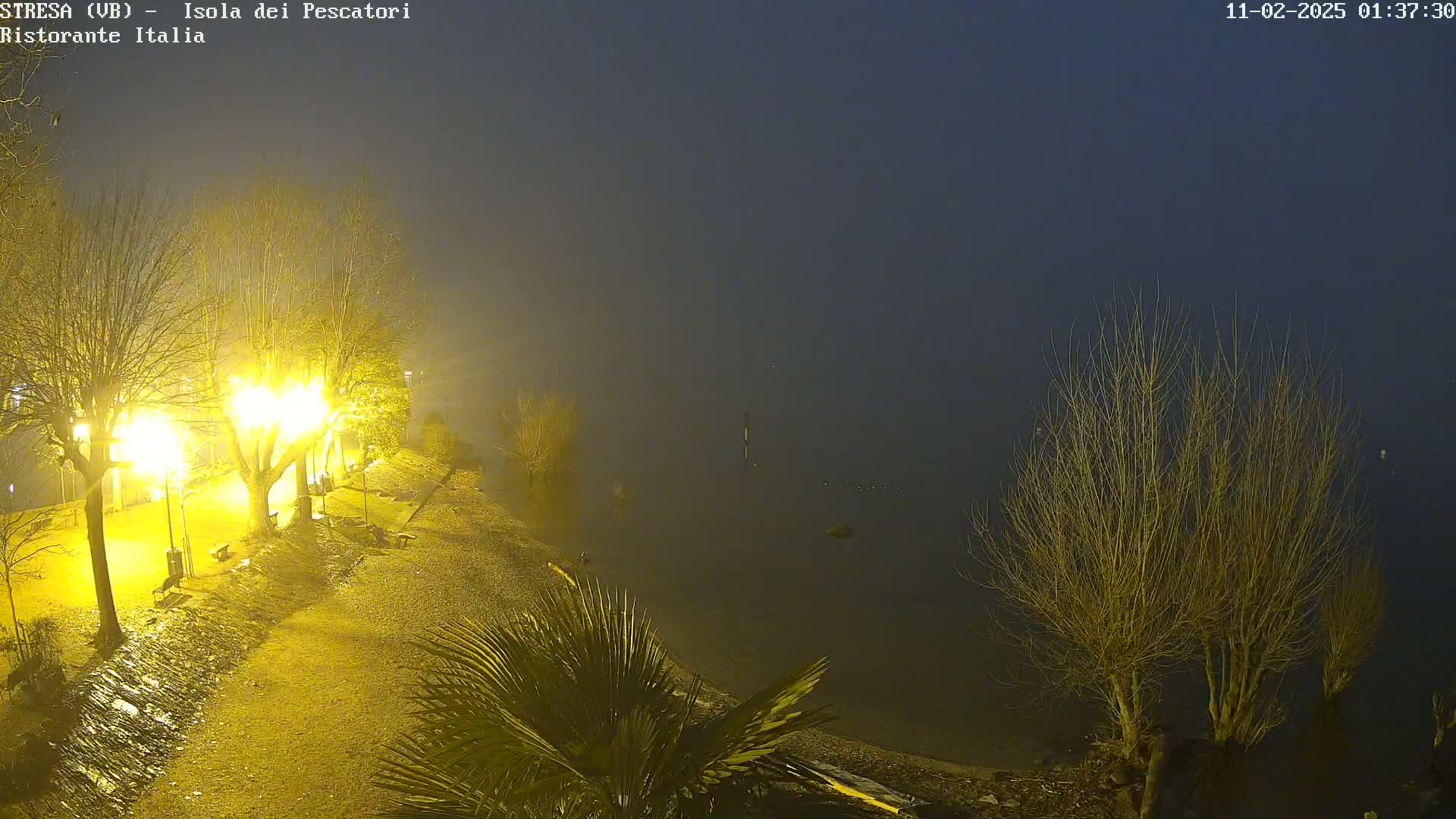 A foggy night scene shows a shoreline with illuminated trees and benches, overlooking a dark body of water.
