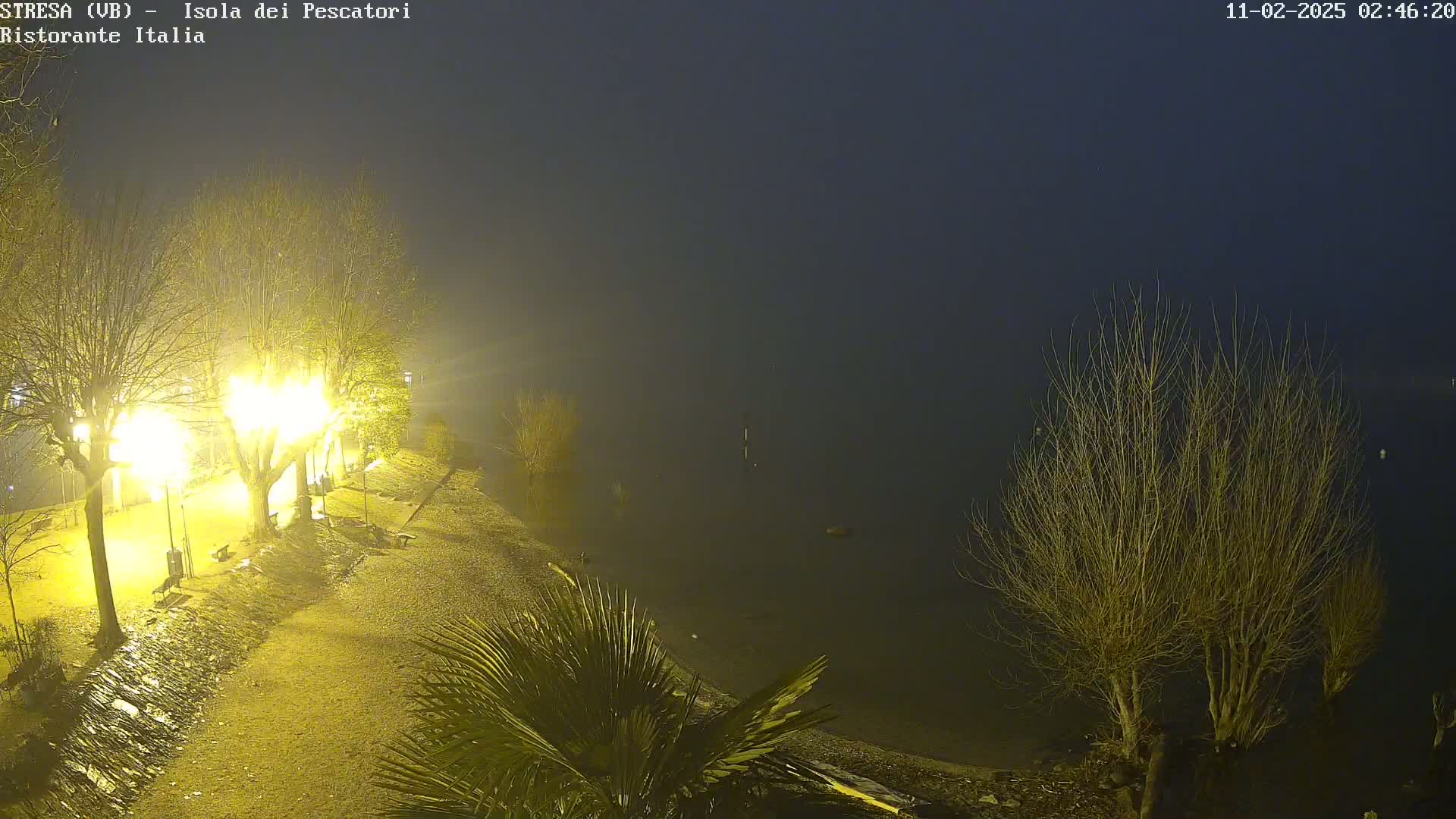 A foggy night scene shows a shoreline with bare trees illuminated by lampposts, overlooking calm water.