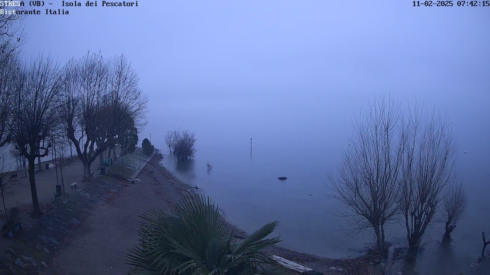 A foggy, gray morning scene shows a shoreline with bare trees and a calm body of water.