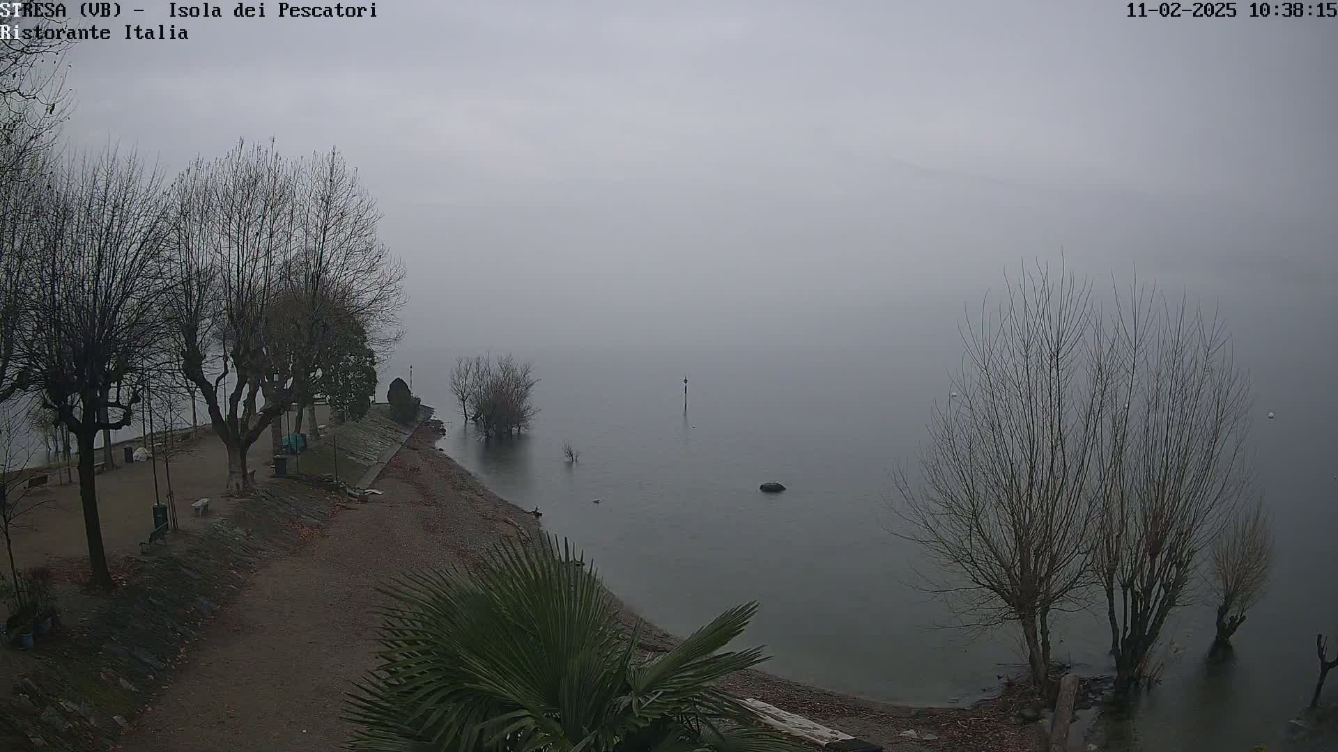 A foggy lakeshore scene shows bare trees along a gravel path, with a calm body of water extending into a thick fog.