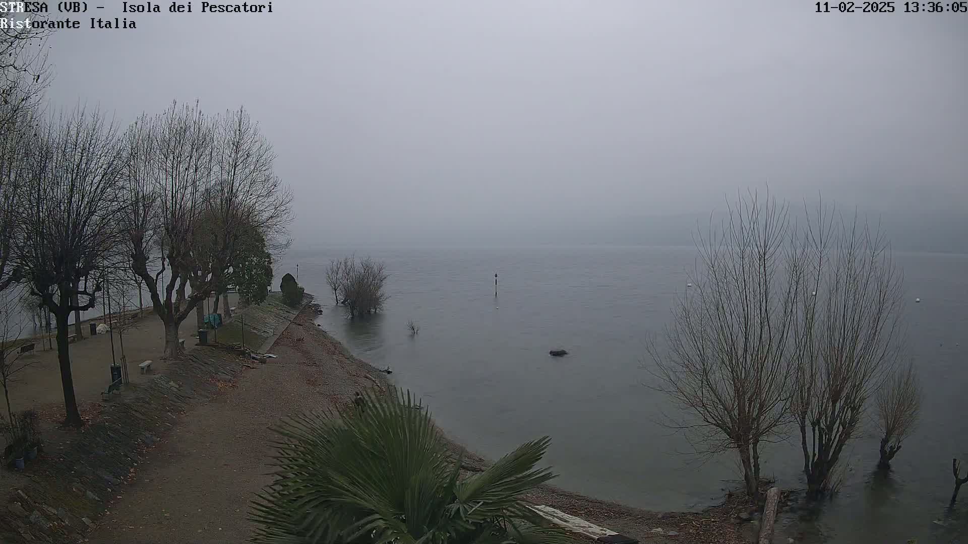 A foggy, gray day reveals a lakeshore with leafless trees, a gravel shoreline, and a calm body of water.