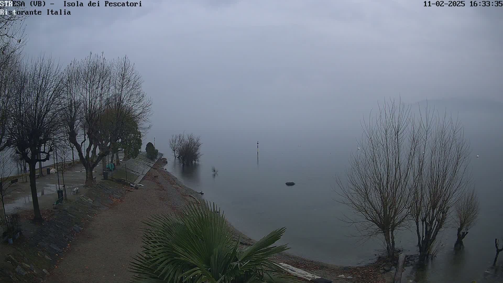A foggy lakeside scene shows bare trees lining a paved walkway next to a gravel beach, with a calm lake extending into the hazy distance.