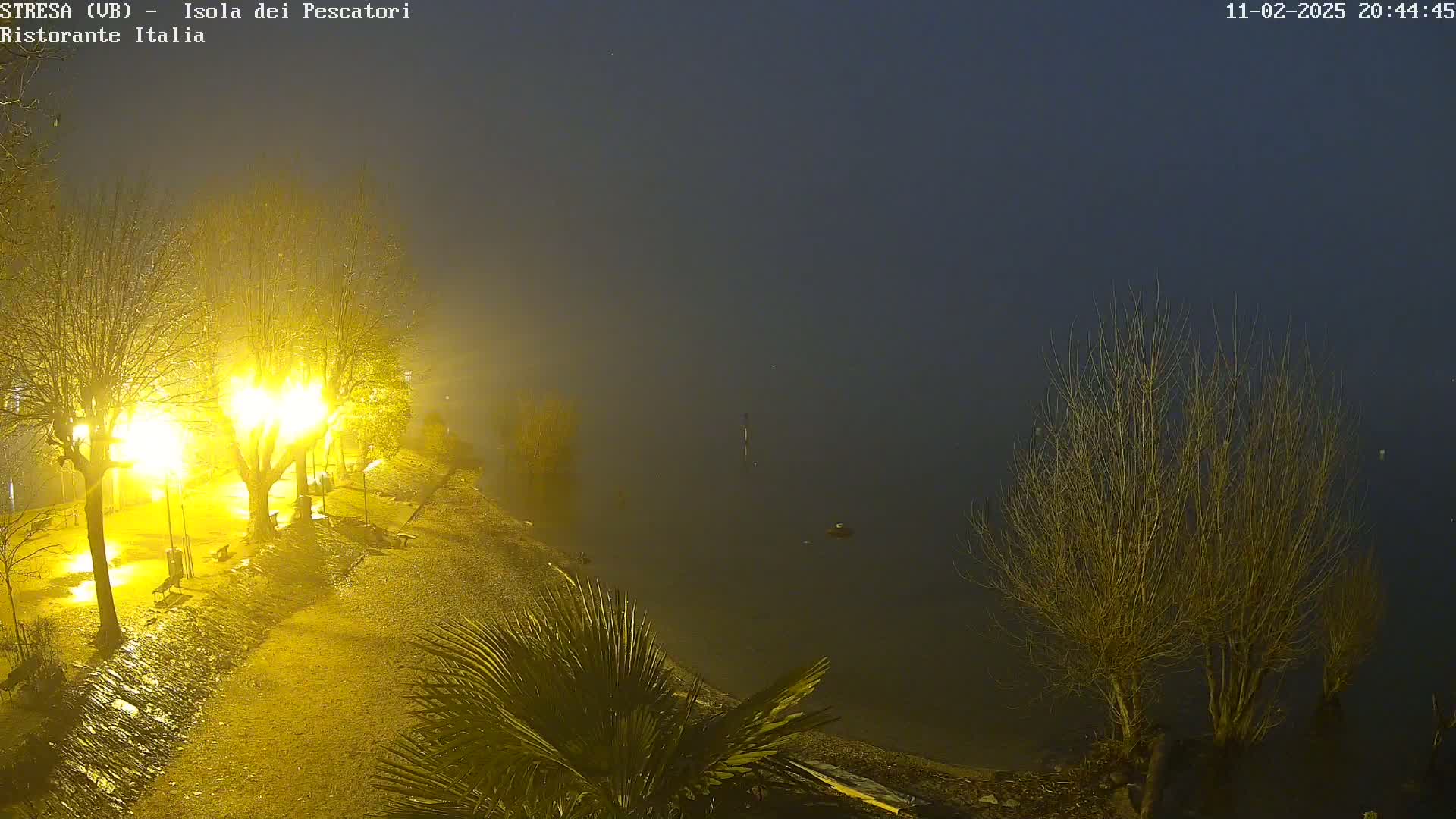 A foggy night scene shows a shoreline with lit trees and a paved path, overlooking dark water.