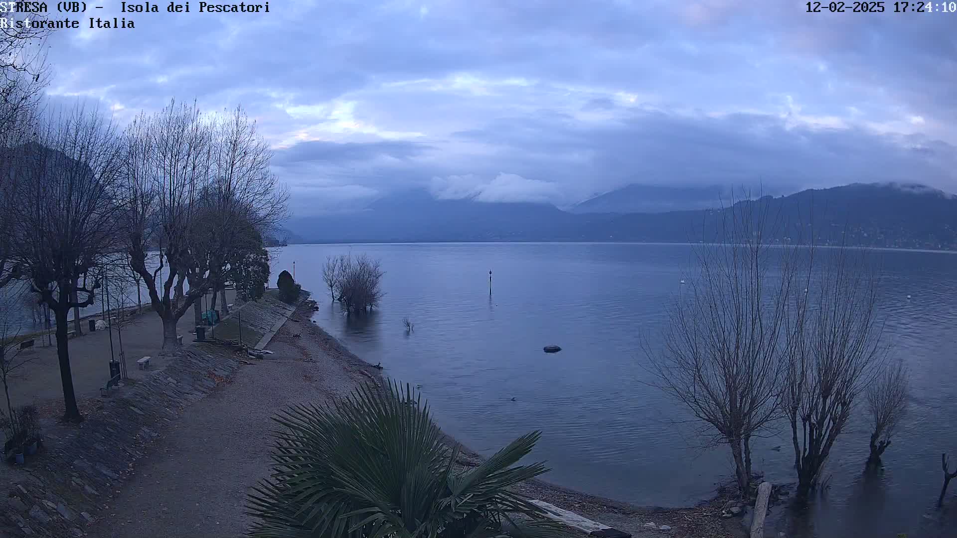 A calm lake under a cloudy, overcast sky is viewed from a shoreline with bare trees and a few palm trees, mountains in the distance.