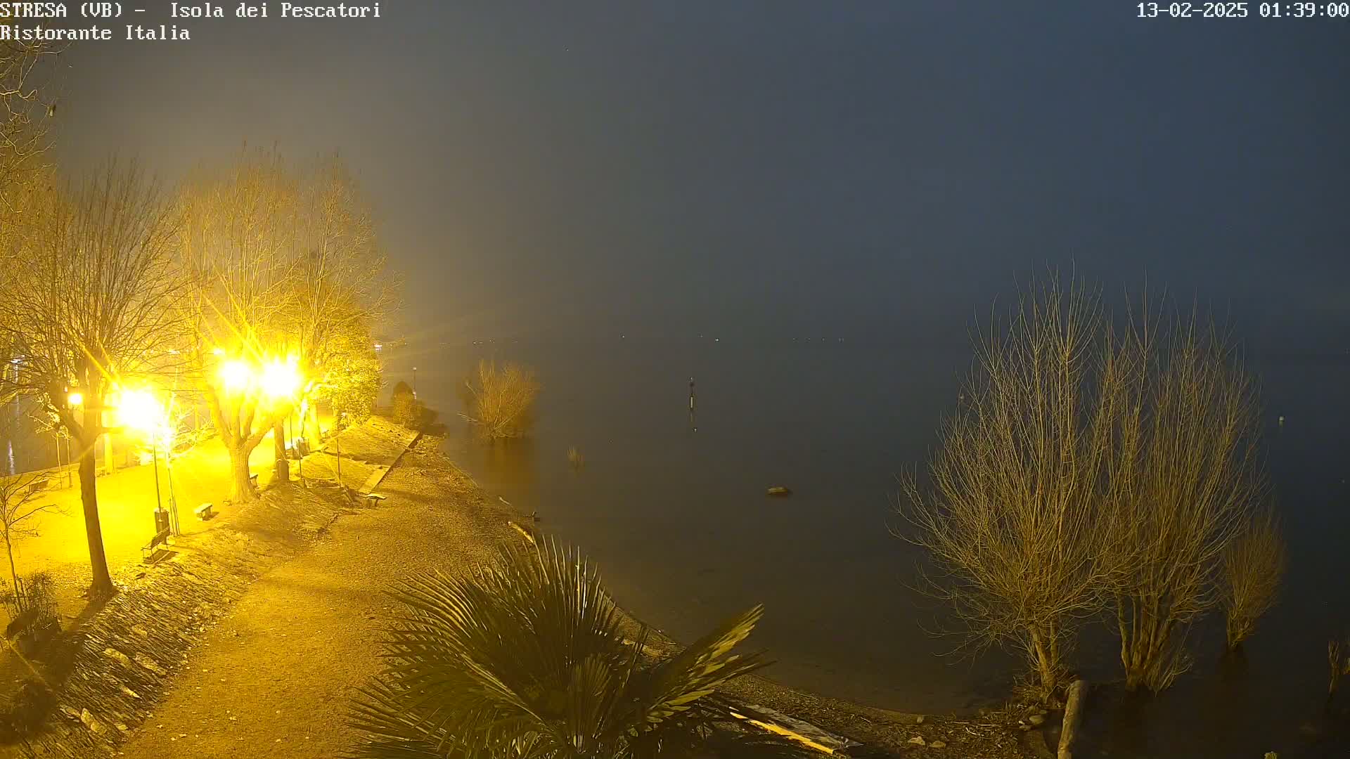 A fog-shrouded lake at night is illuminated by streetlights along a shoreline path lined with bare trees and some greenery.