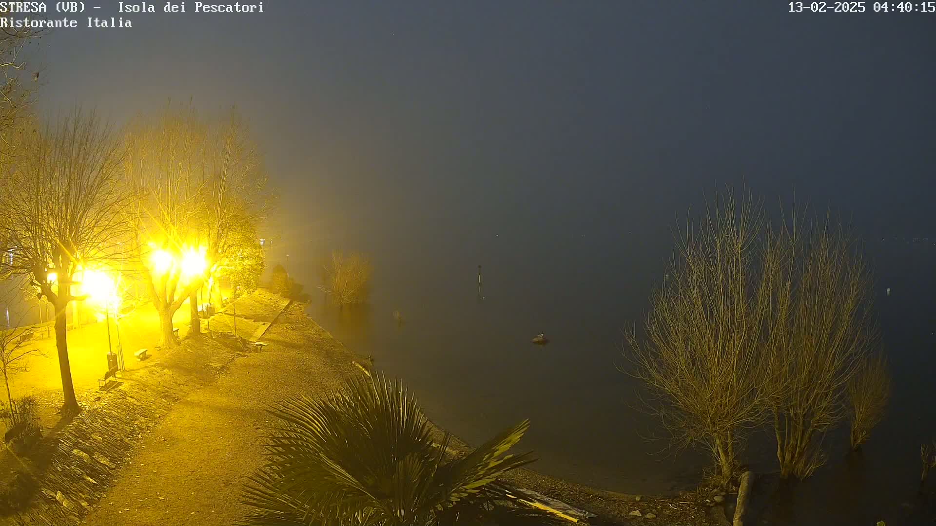 A fog-shrouded lakeshore at night is illuminated by several bright lights, casting a yellow glow on the bare trees and shoreline.