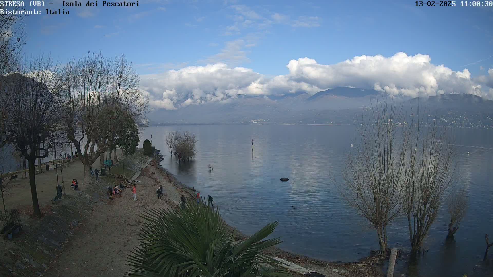 A partly cloudy, sunny day overlooks a calm lake with a shoreline populated by bare trees, some people, and a palm tree.