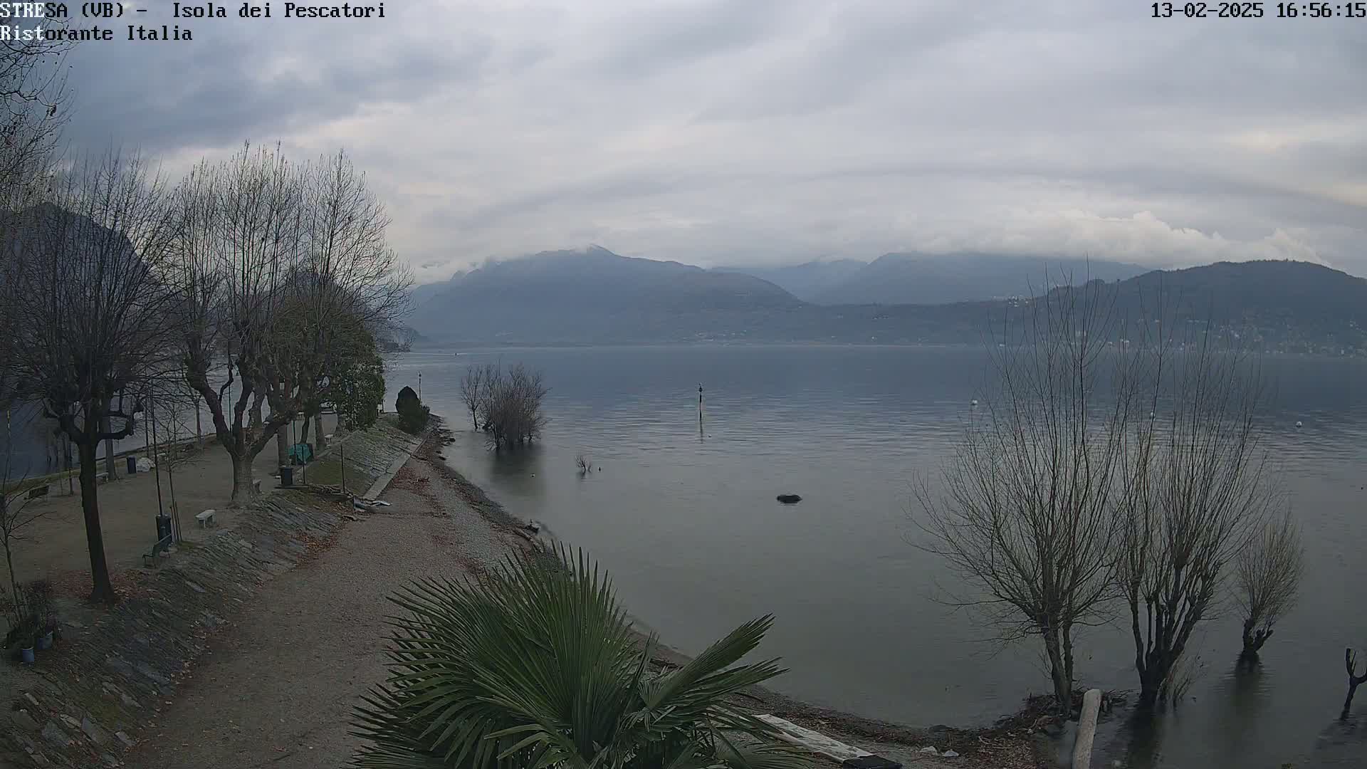 A shoreline with bare trees and a calm lake under an overcast sky, mountains in the background.