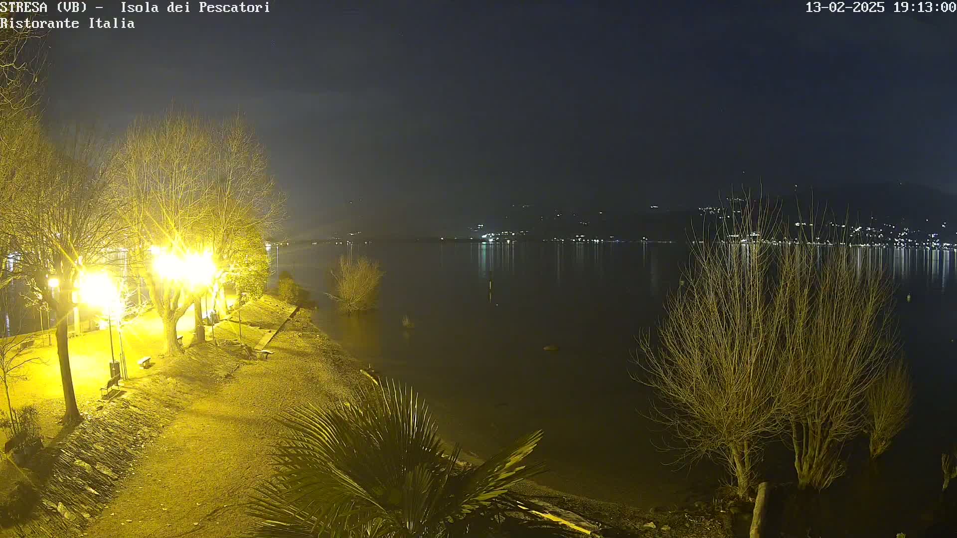 A nighttime view of a lake shore illuminated by yellow lights, with bare trees and a calm body of water reflecting distant lights.